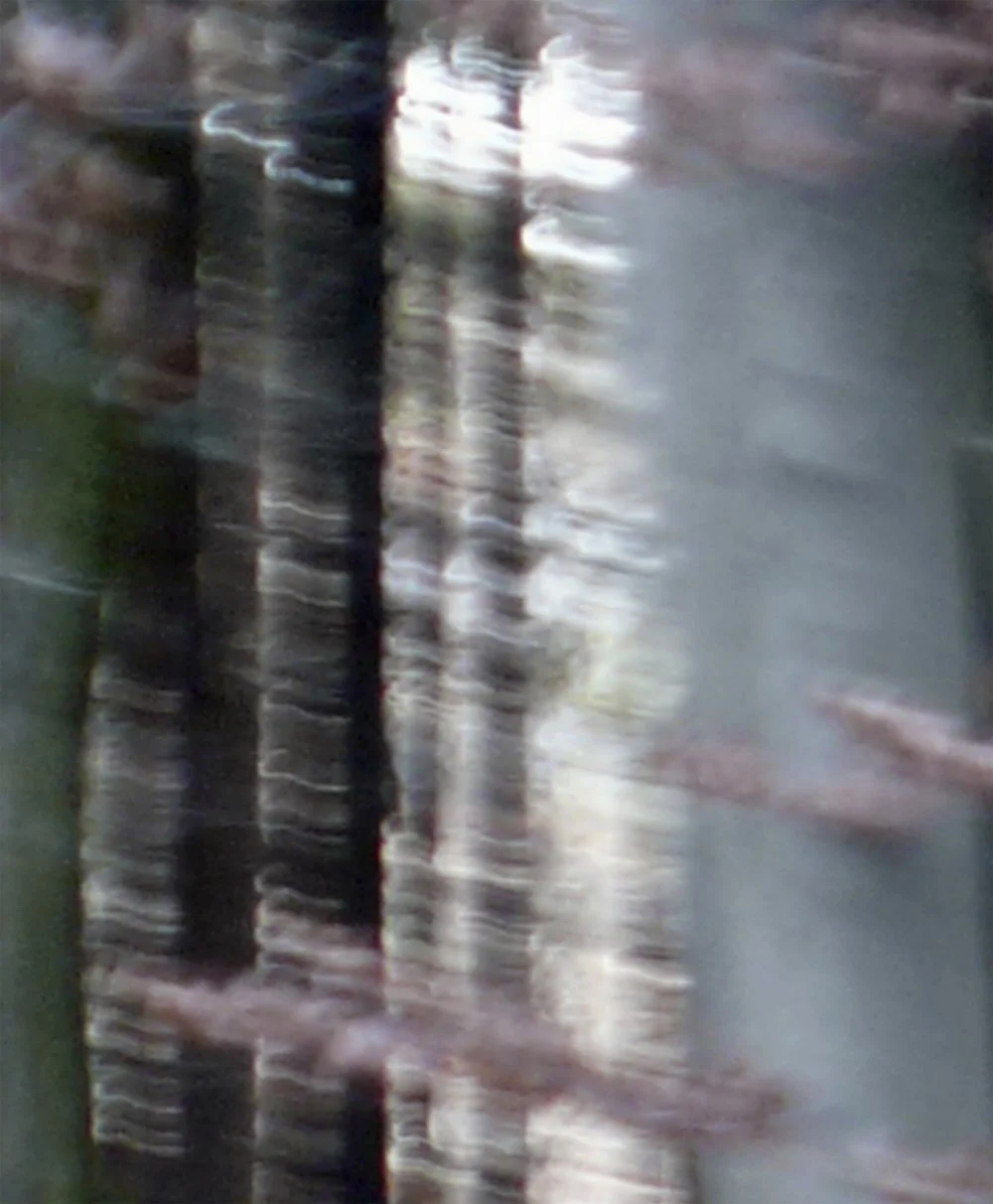 ODENWALD 1152 PH6, 2008. Pigment Ink Print on Paper 30 x 24 inches (76 x 70 cm).