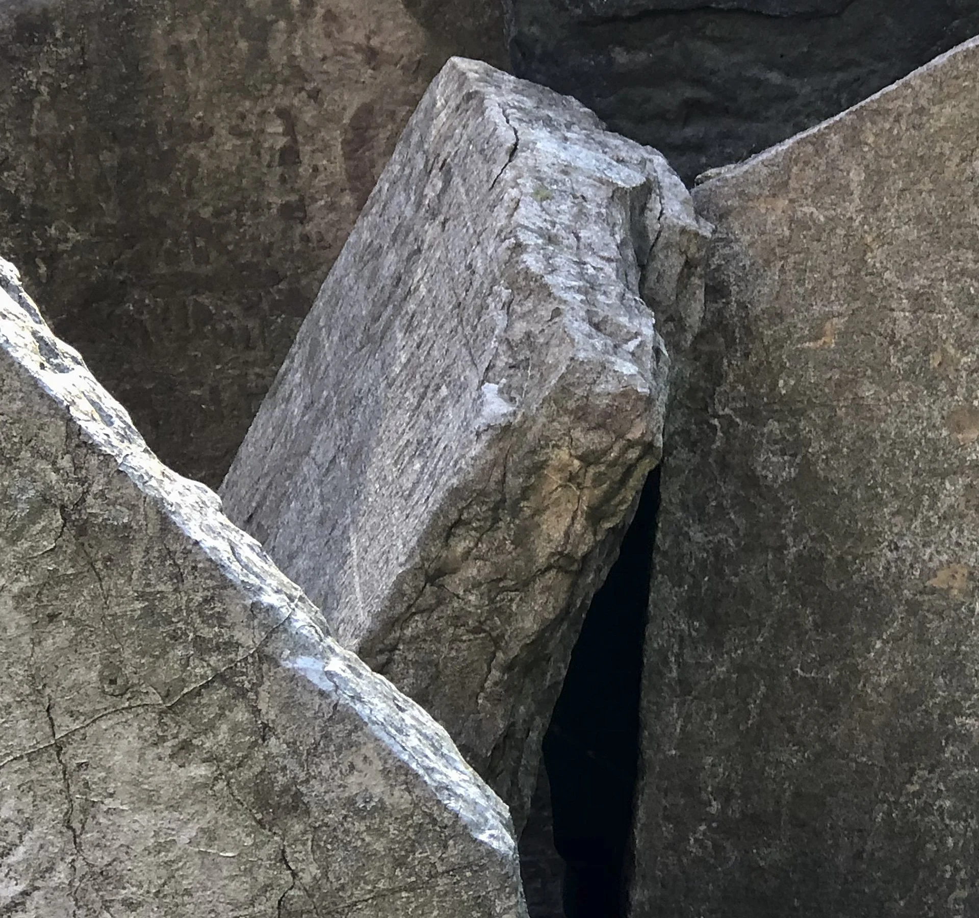 SILENCE IN PRAGUE PH 1, 2019. Pigment ink print on paper 11.25 x 12 inches (28.6 x 30.5 cm).
