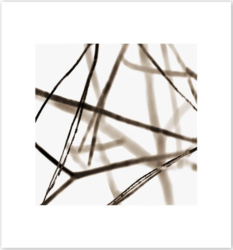 NOCHE TRANSFORMADA #3, 2013. Pigment Ink Print on Paper 28 × 24 inches (71 × 61 cm).
