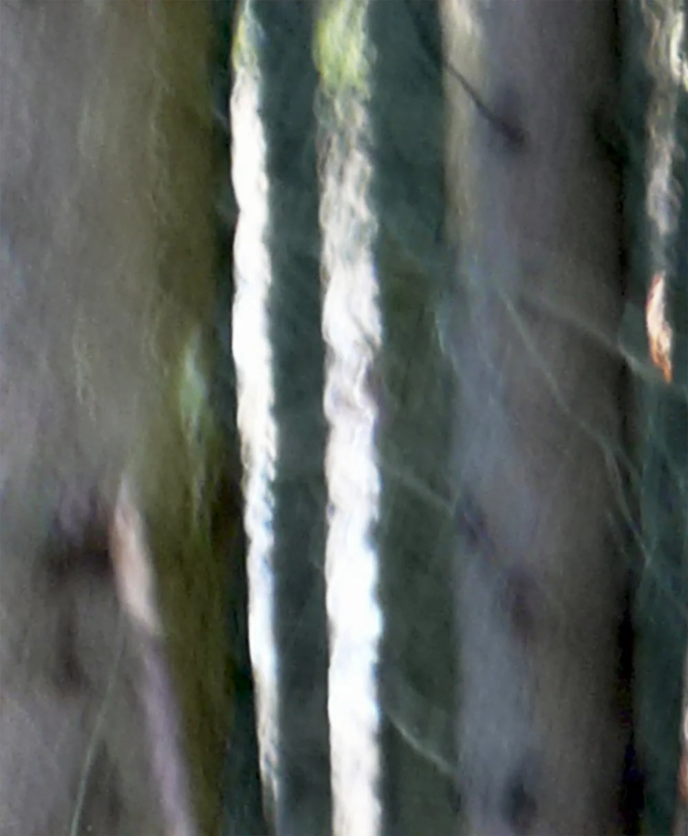 ODENWALD 1152 PH9, 2008. Pigment Ink Print on Paper 30 x 24 inches (76 x 70 cm).