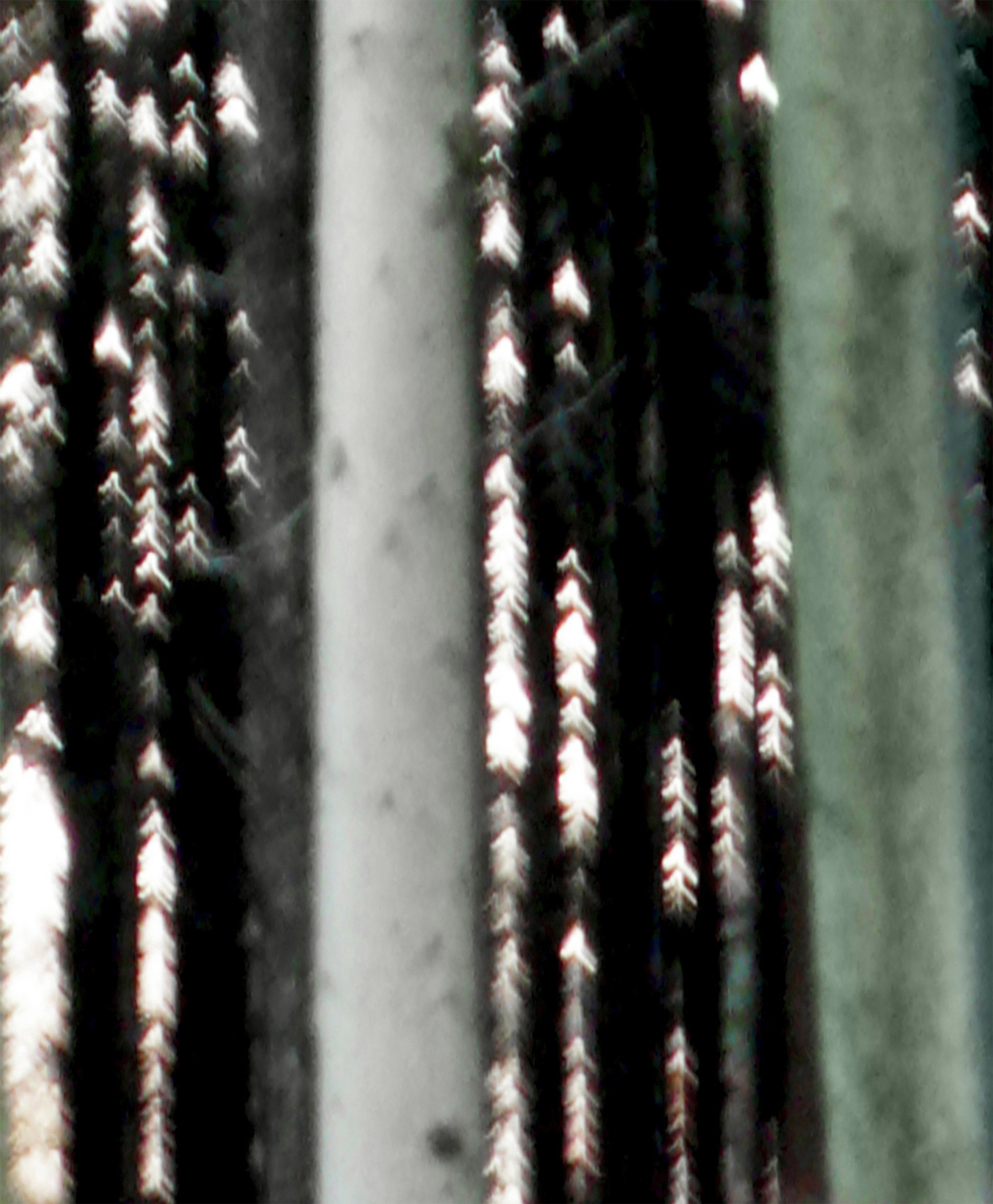 ODENWALD 1152 PH5, 2008 Pigment Ink Print on Paper 30 x 24 inches (76 x 70 cm).