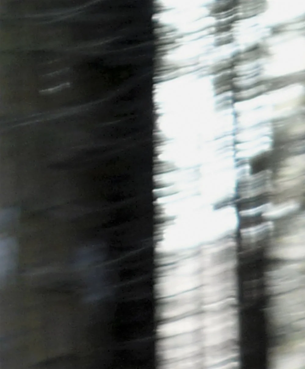 ODENWALD 1152 PH7, 2008. Pigment Ink Print on Paper 30 x 24 inches (76 x 70 cm).