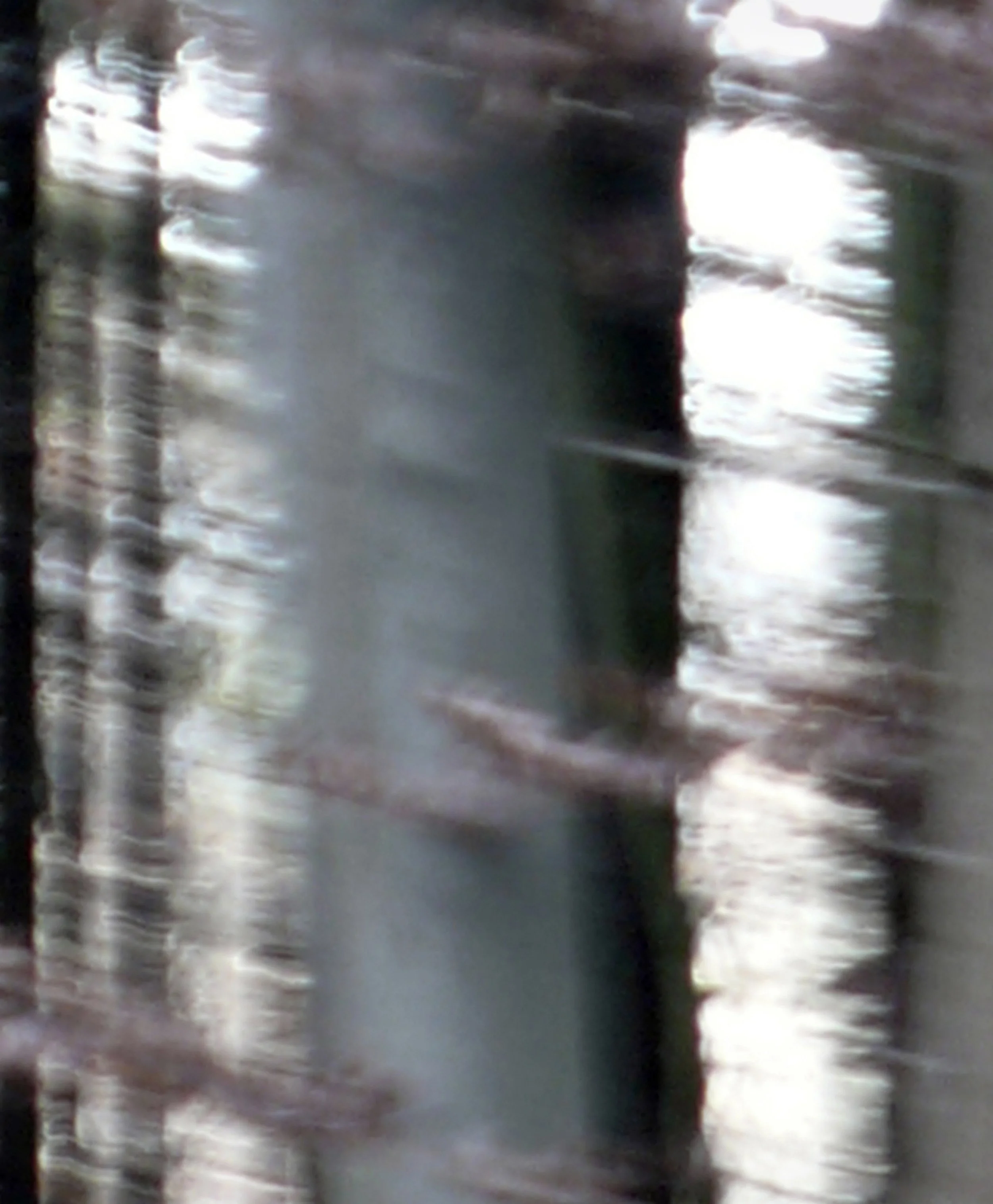 ODENWALD 1152 PH10, 2008 Pigment Ink Print on Paper 30 x 24 inches (76 x 70 cm).