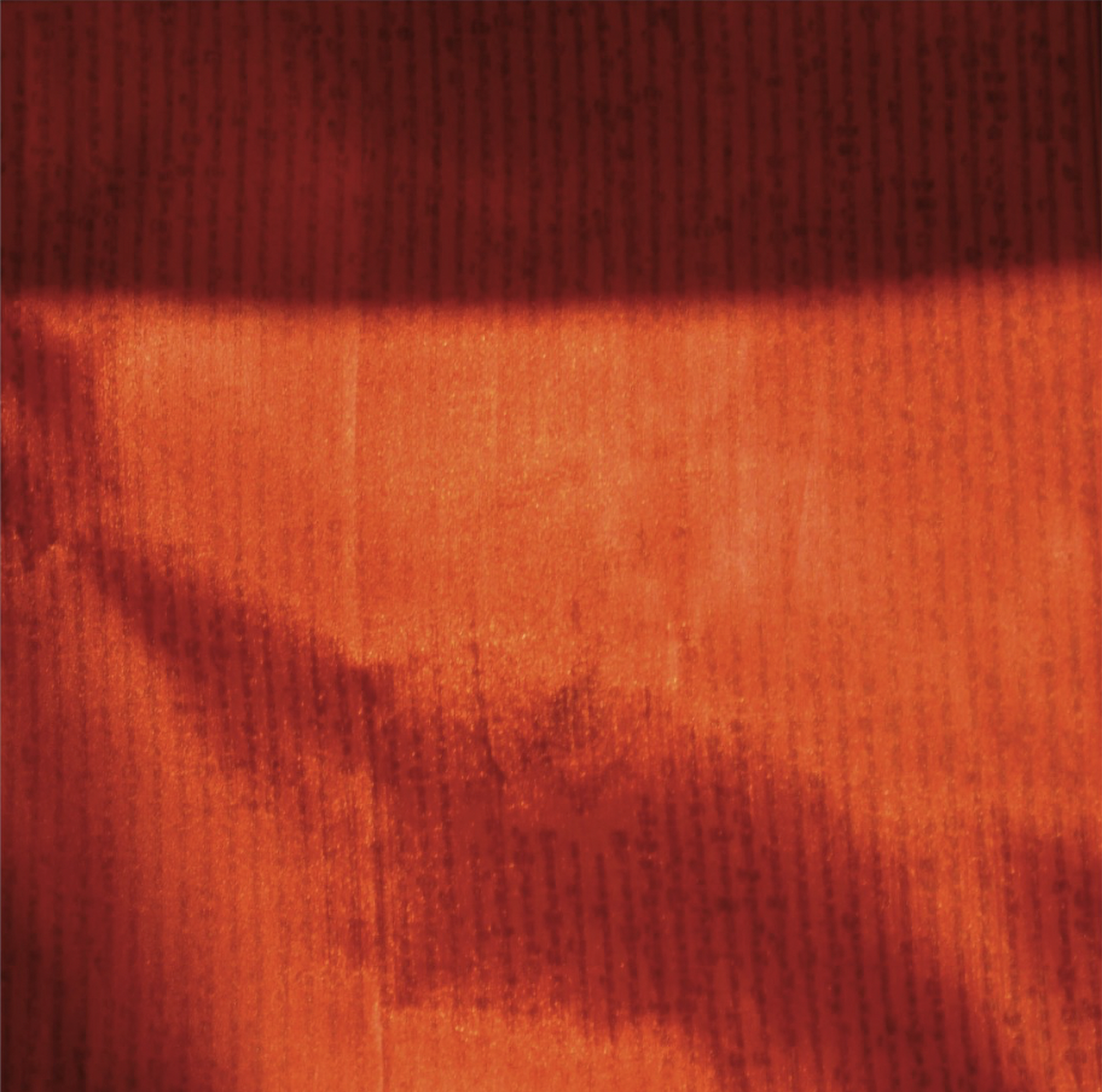 PRAYER FLAG PH1, 2010. Pigment Ink Print on Paper 23 x 23 inches (58 × 58 cm).