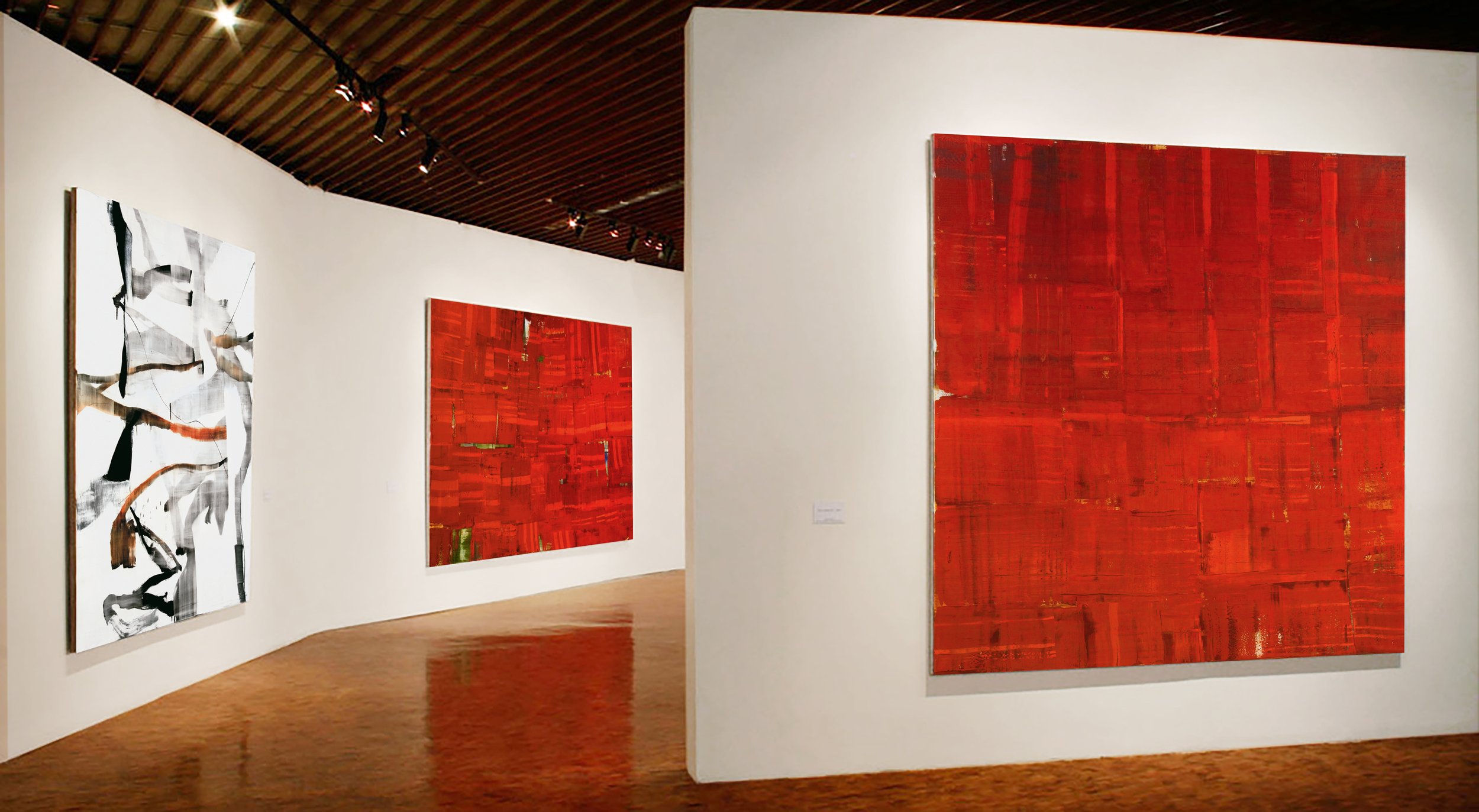 Installation view of WORKS 1994 - 2006, Museo de Arte Moderno, Mexico City, 2006.