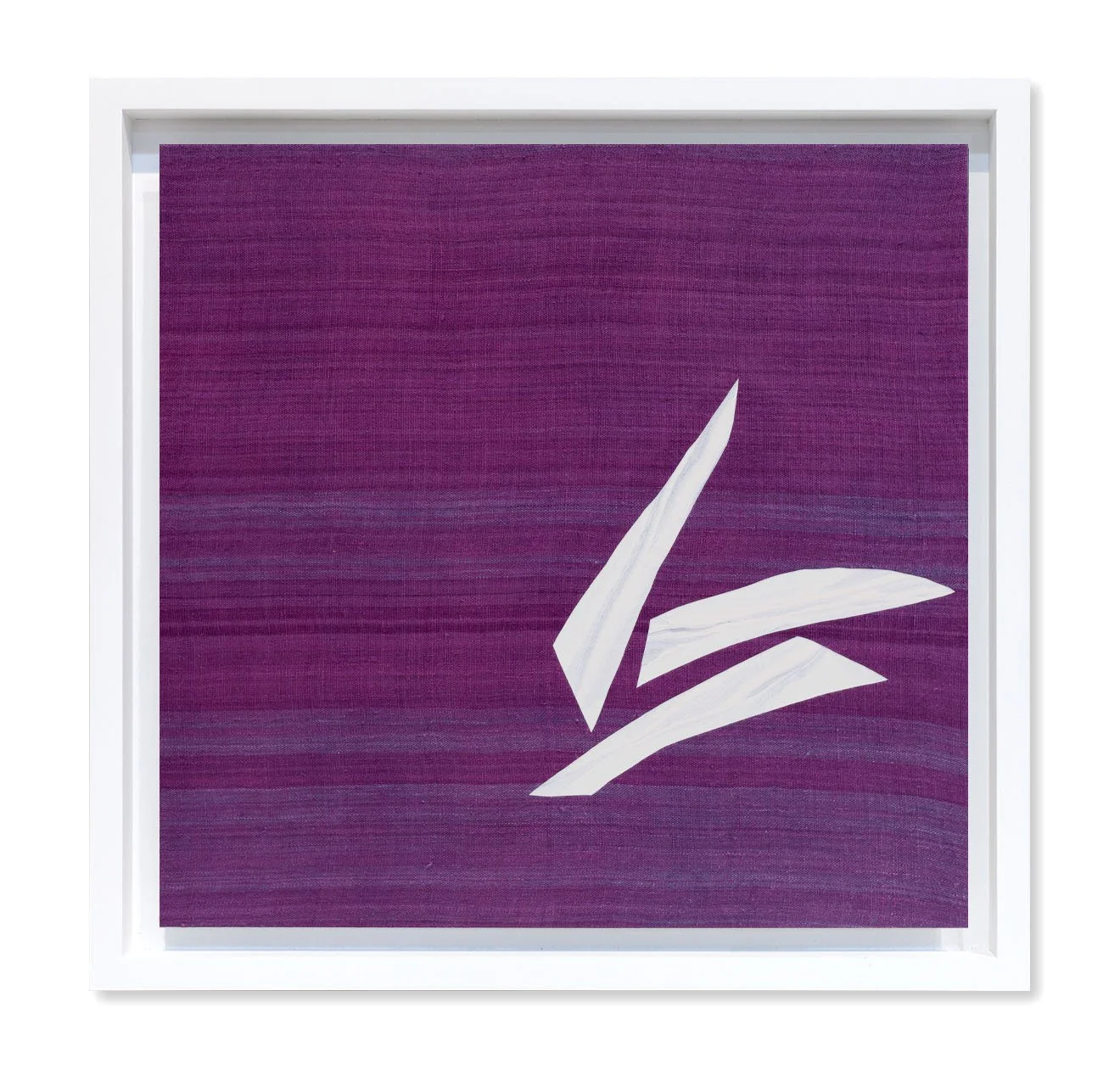 9. BIOSA TE (VIOLET).jpg