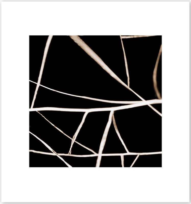 NOCHE TRANSFORMADA #2, 2013. Pigment Ink Print on Paper 28 × 24 inches (71 × 61 cm).