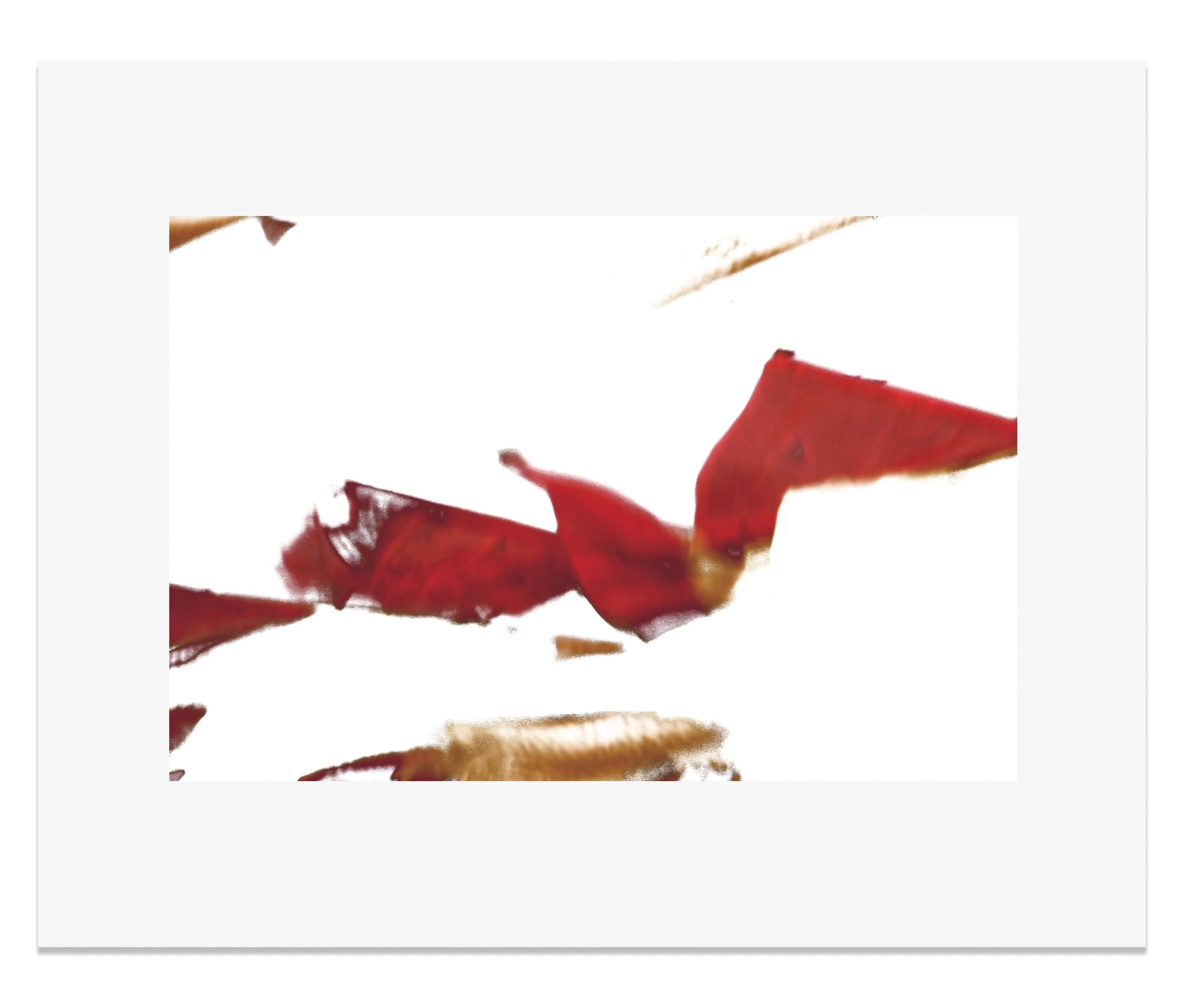 PRAYER FLAG CROP RED, 2010. Pigment Ink Print on Paper 16 x 23 inches (74 × 109 cm).