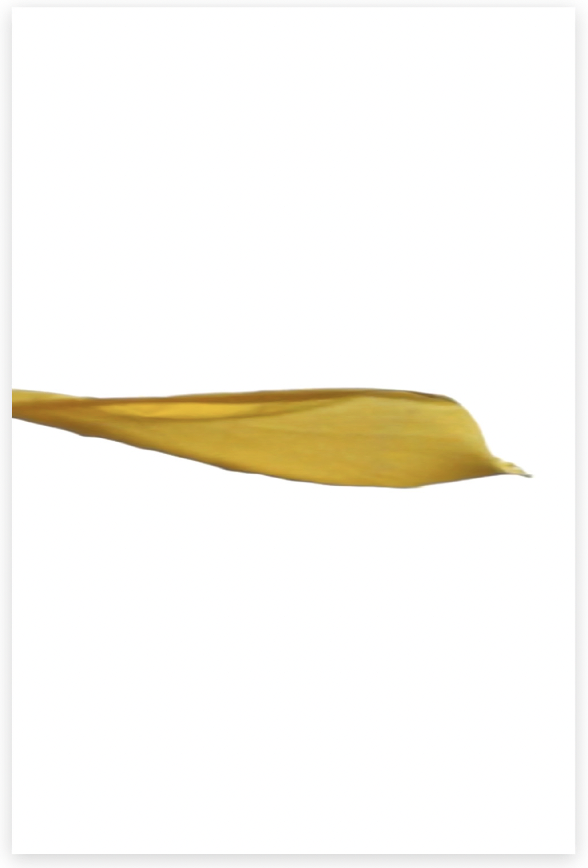 PRAYER FLAG STILL #4, 2015. Pigment Ink Print, 65 x 43 inches (165 × 109 cm) Full Bleed.