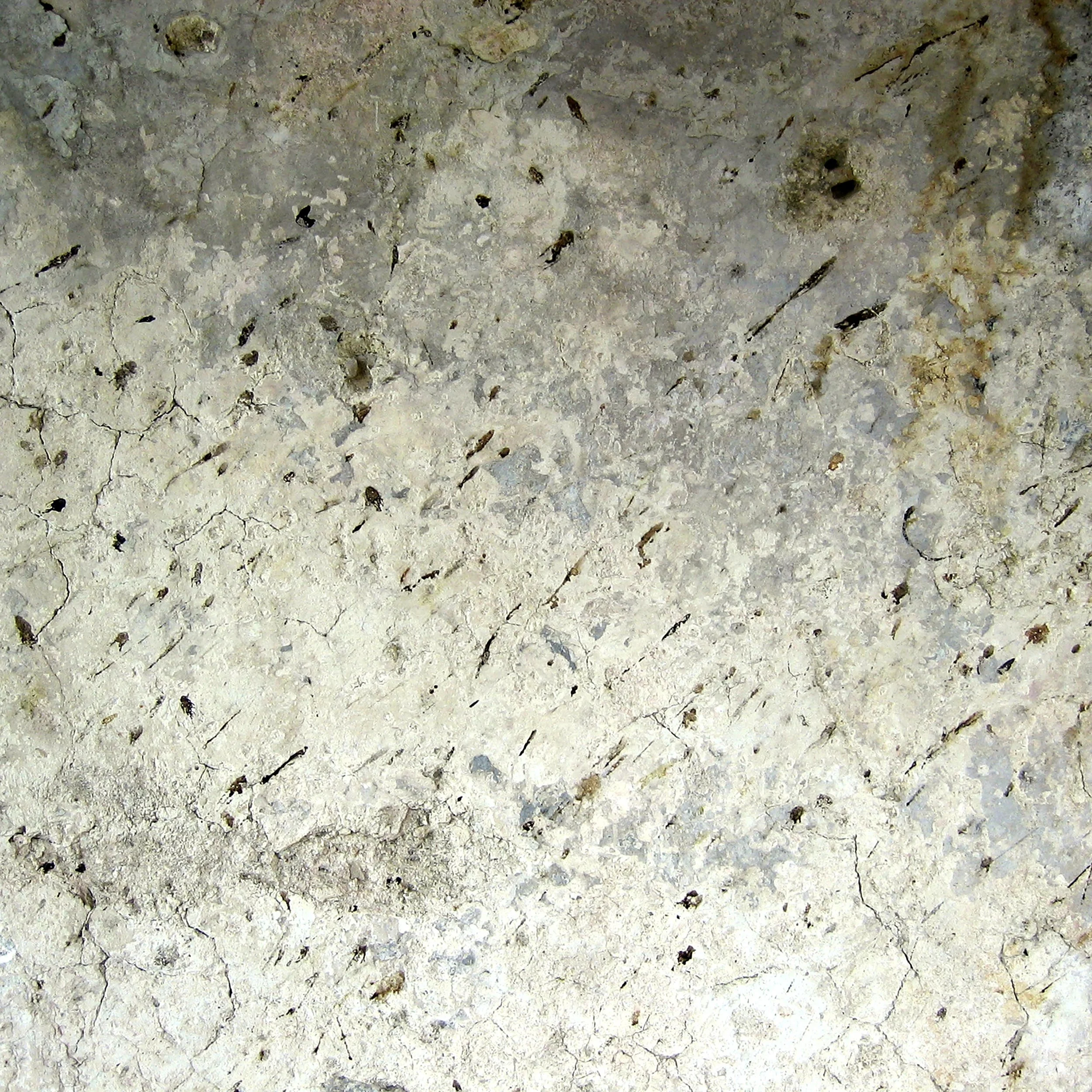 MURO 1, 2004. Pigment Ink Print on Paper 42 x 41.5 inches (106.6 x 105.4 cm). 