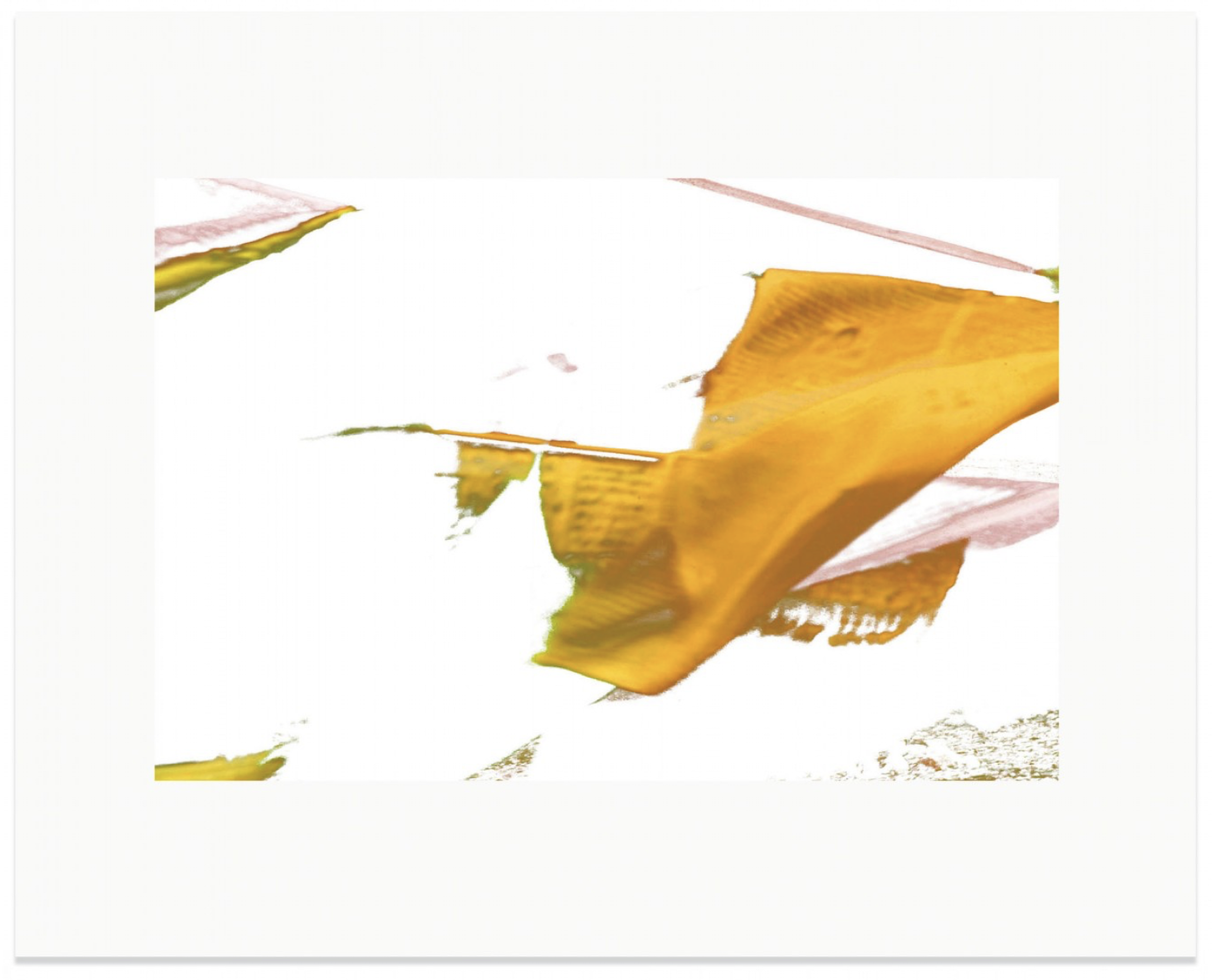 PRAYER FLAG CROP YELLOW, 2010. Pigment Ink Print on Paper 16 x 23 inches (74 × 109 cm).