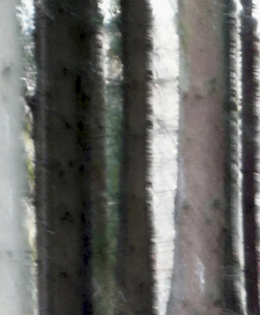 ODENWALD 1152 PH3, 2008. Pigment Ink Print on Paper 30 x 24 inches (76 x 70 cm).