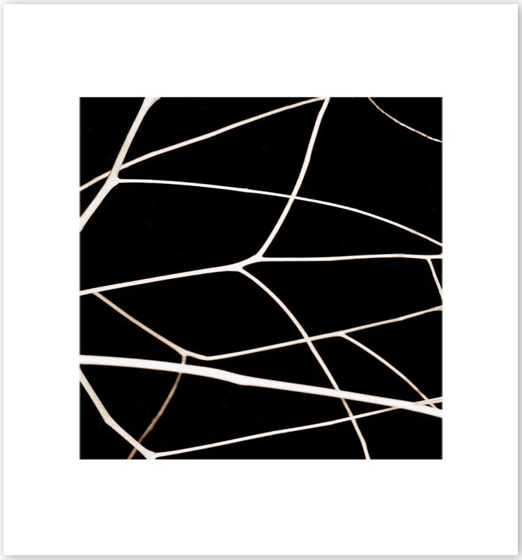 NOCHE TRANSFORMADA #4, 2013. Pigment Ink Print on Paper 28 × 24 inches (71 × 61 cm).