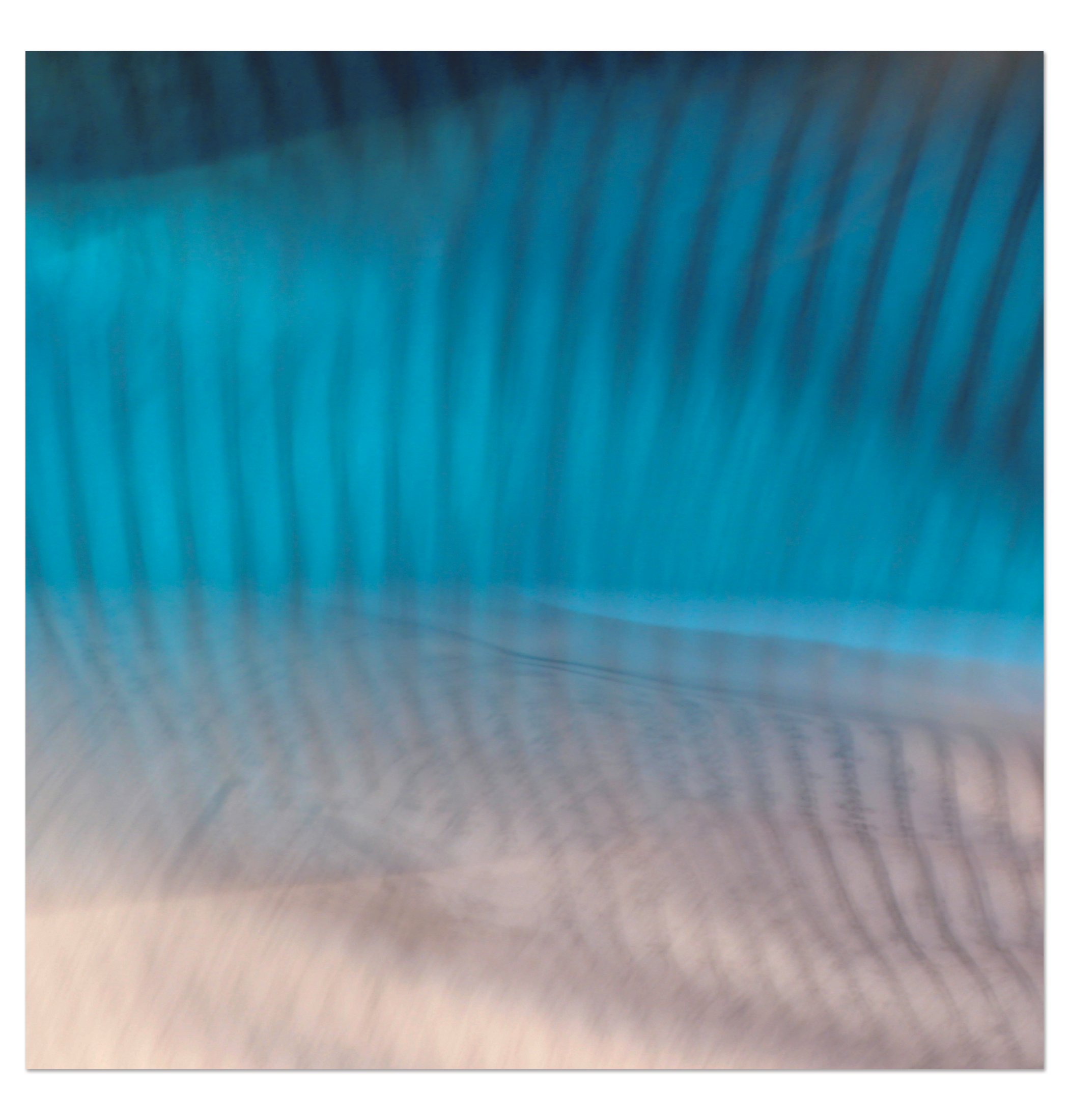 PRAYER FLAG PH5, 2010. Pigment Ink Print on Paper 23 x 23 inches (58 × 58 cm).
