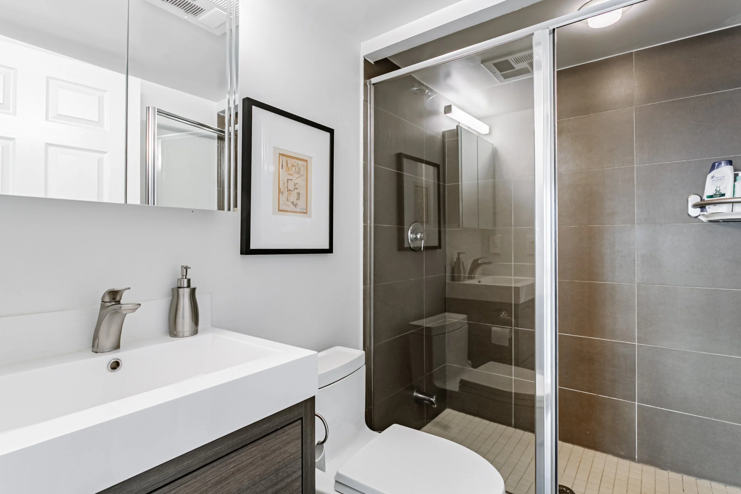 20 96 St Patrick 1610 C12556874.jpg