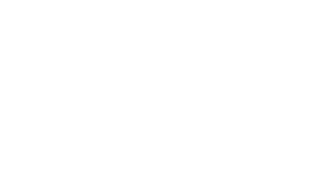 THE ITALIAN PRODUCERS