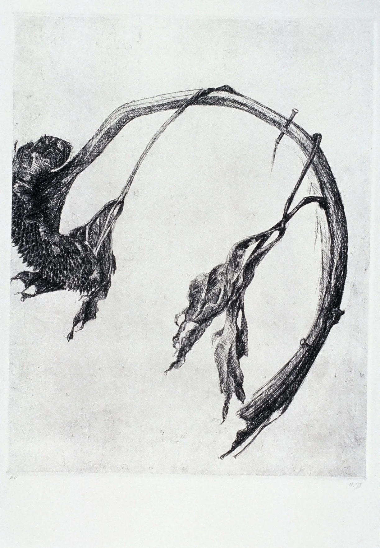 hampshire-sunflower1 .jpeg