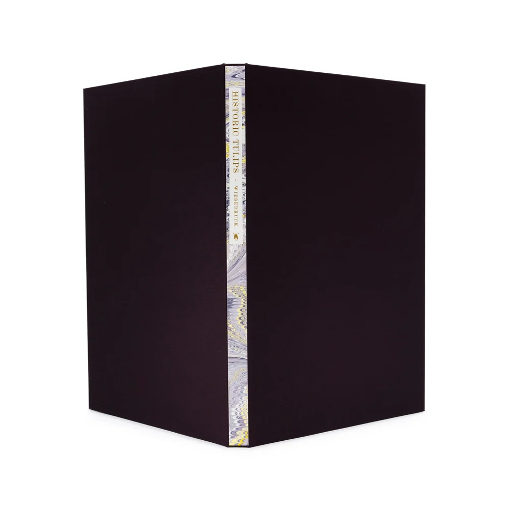 Historic Tulips — Sarah Horowitz