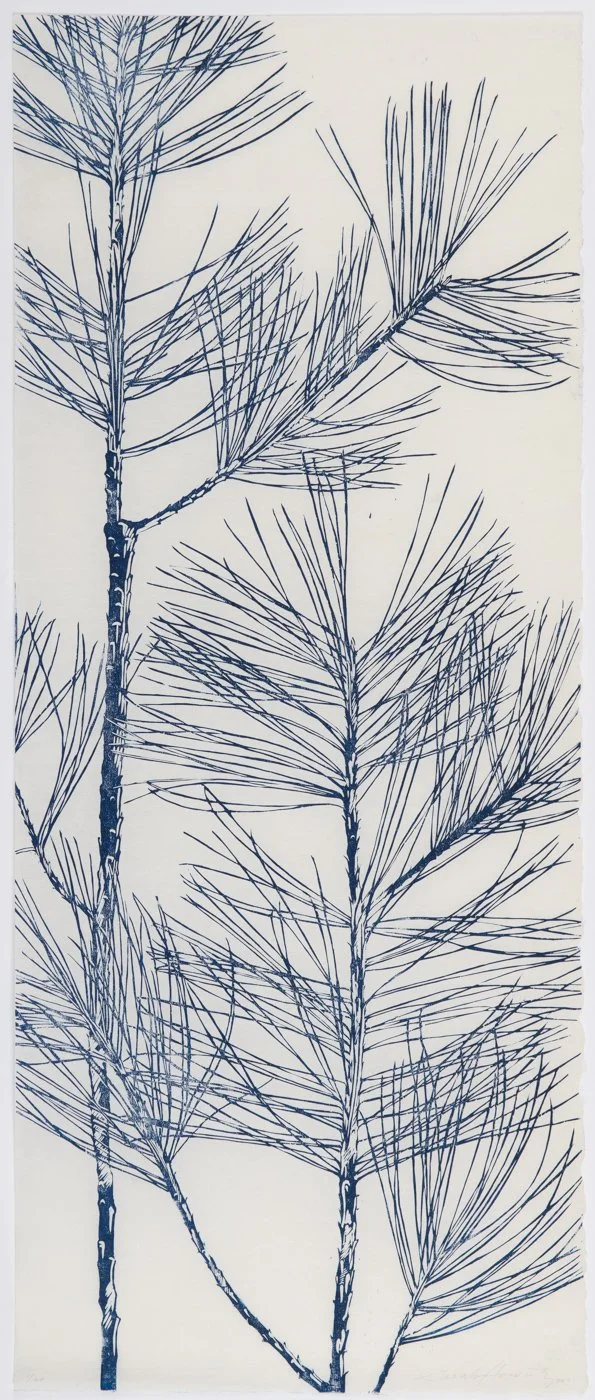 Blue Pines II
