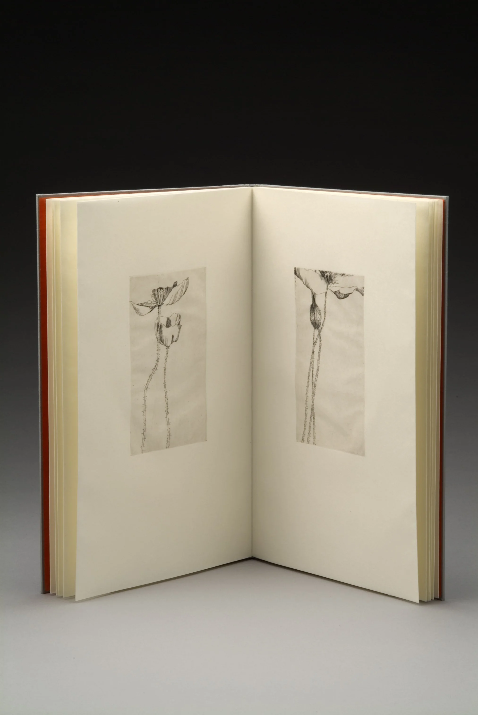 Mohn (Out of print; 2003)