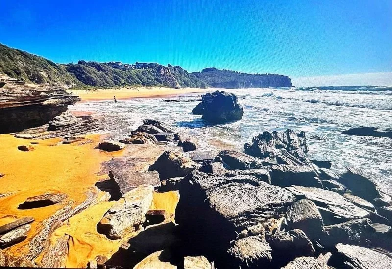 The South Coast of NSW provides inspiration for a new painting