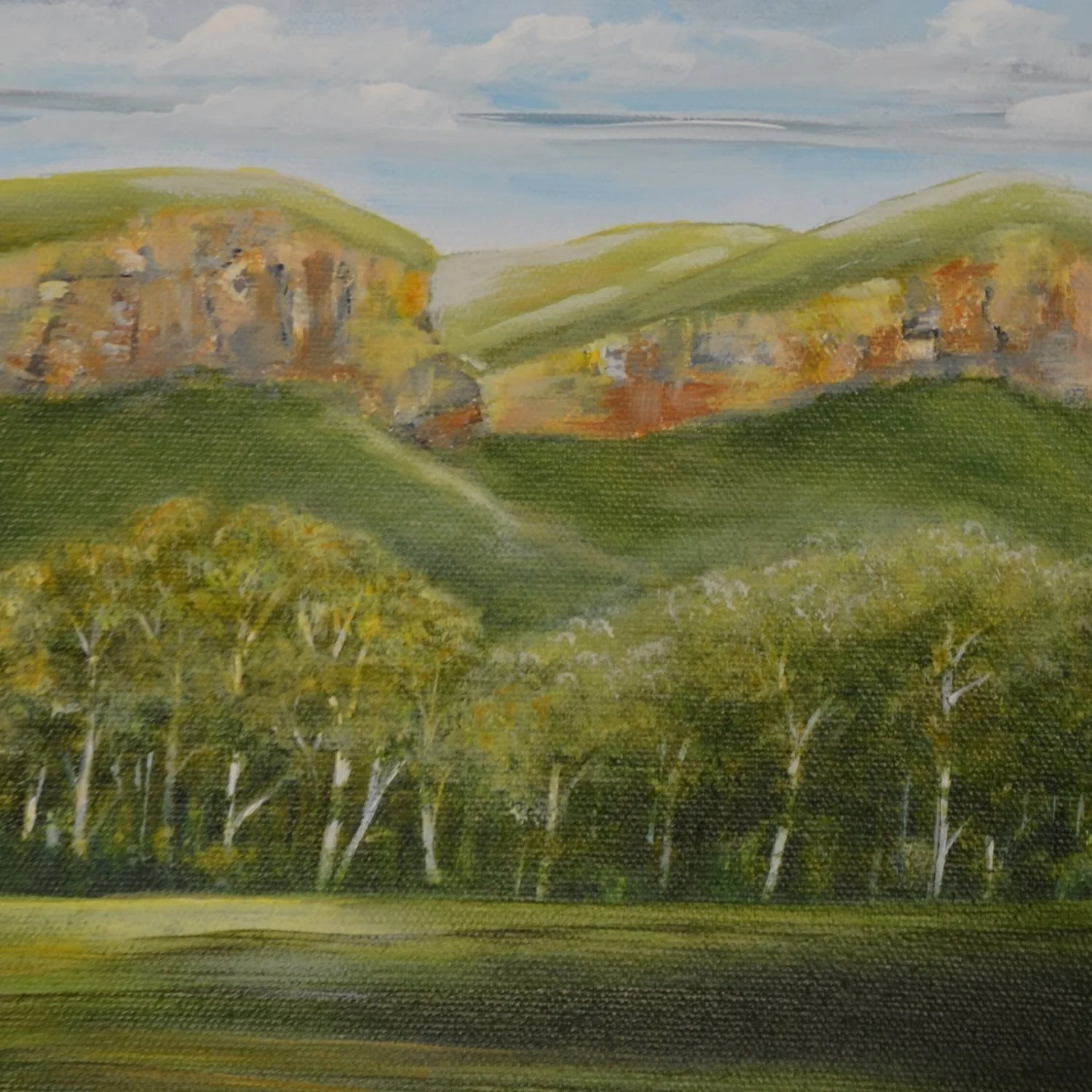 Twin Peaks-detail2-sm.JPG