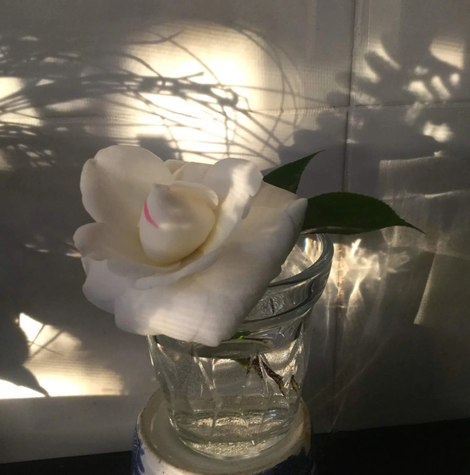 A photographic experiment of light and shadow