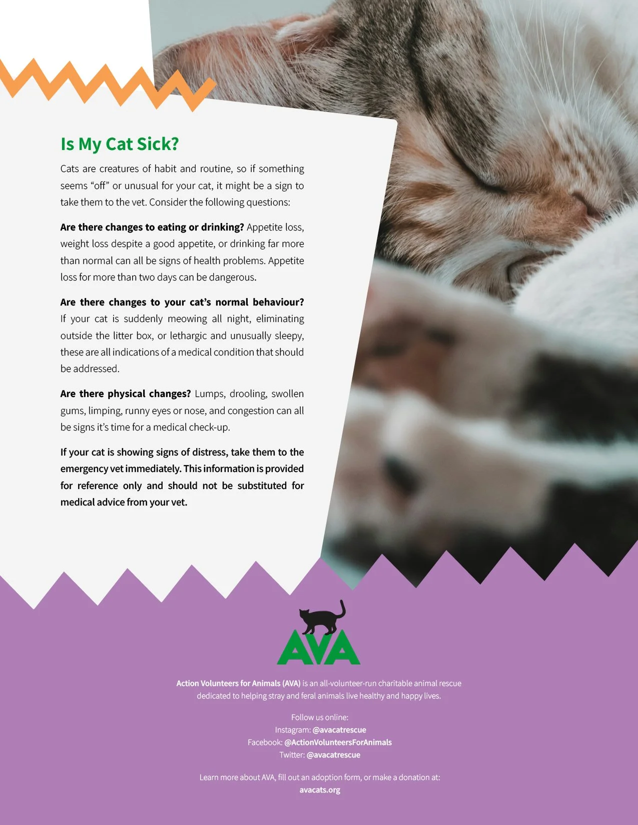 AVA_PDF_New_Cat7.jpg