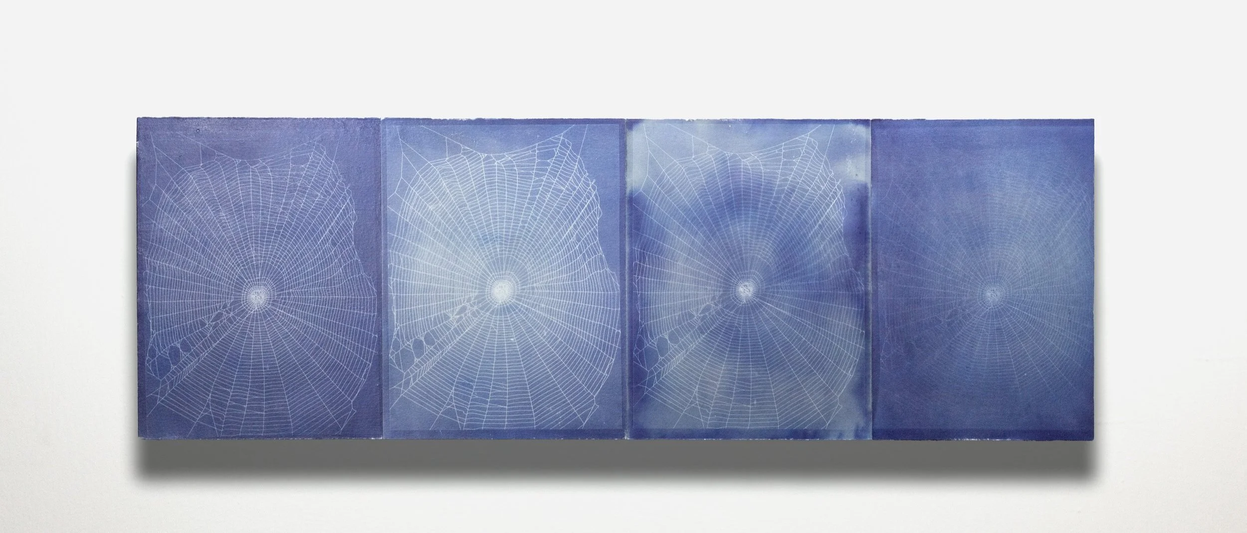 Four Webs, Fading.jpg