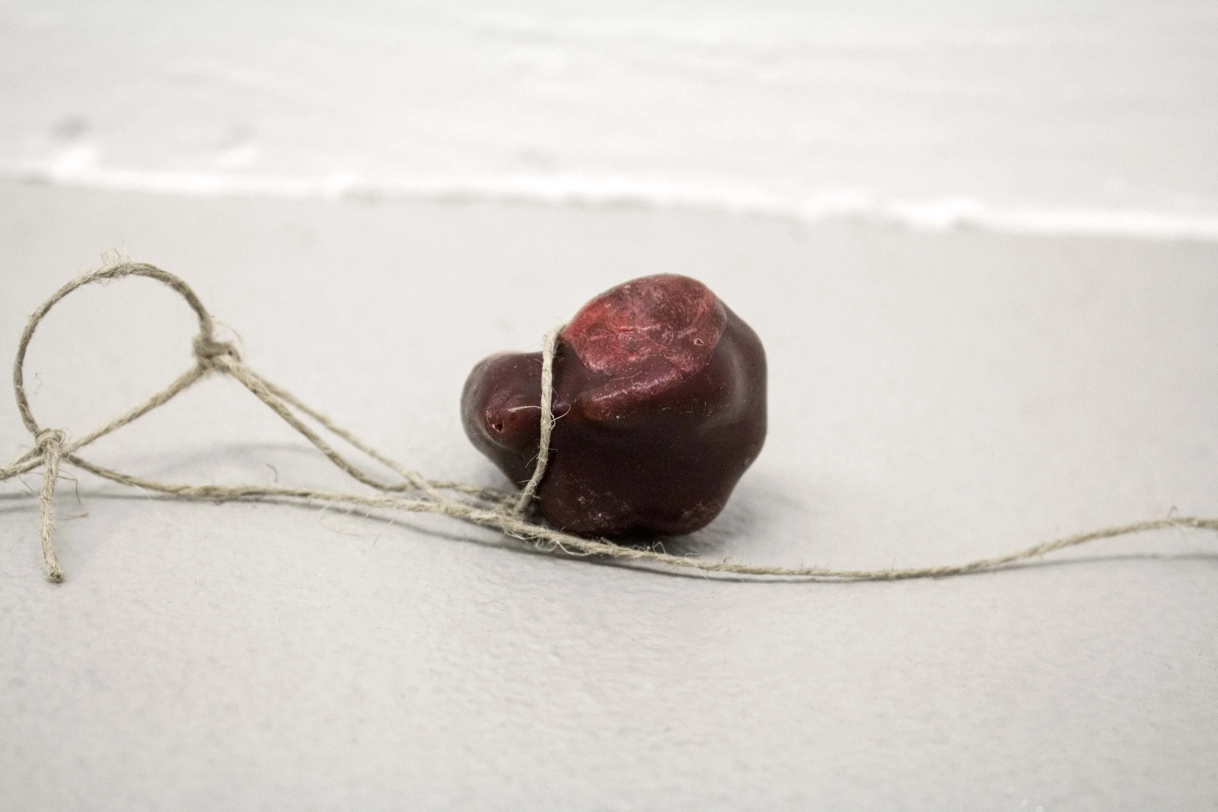 Shell 1 Closeup 1.jpg