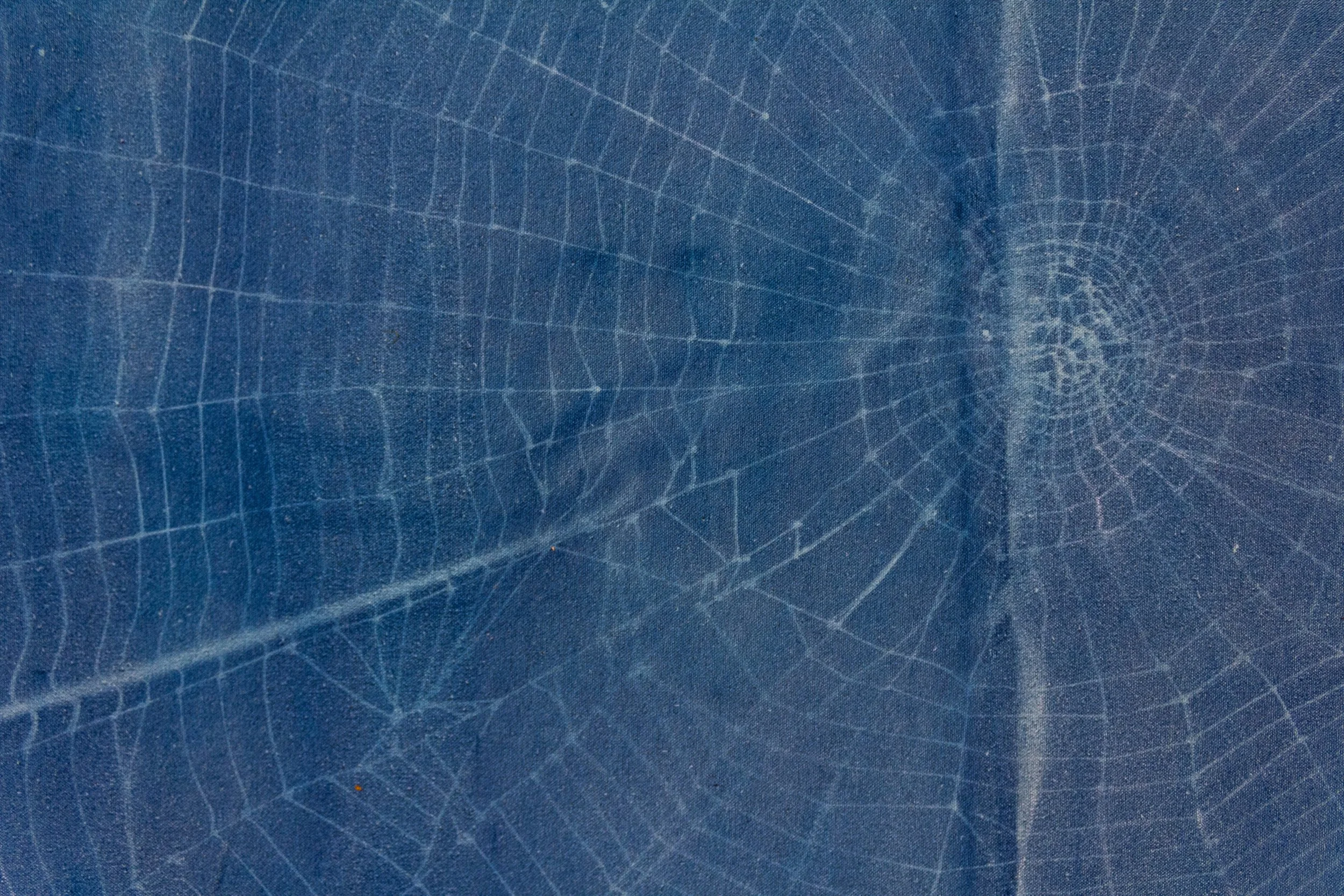 Impression of an Orb Web Closeup.jpg