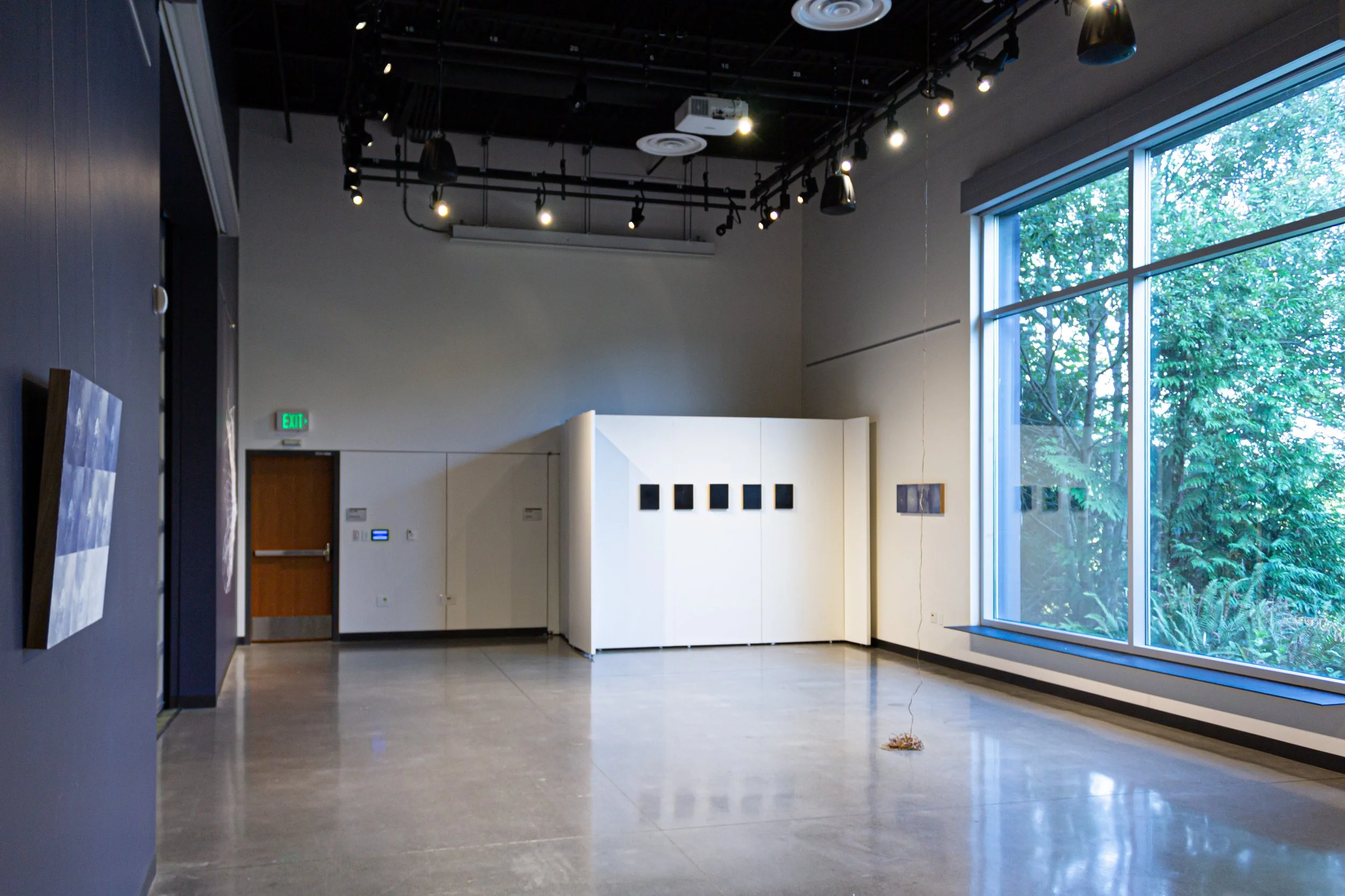 Installation View 8.jpg