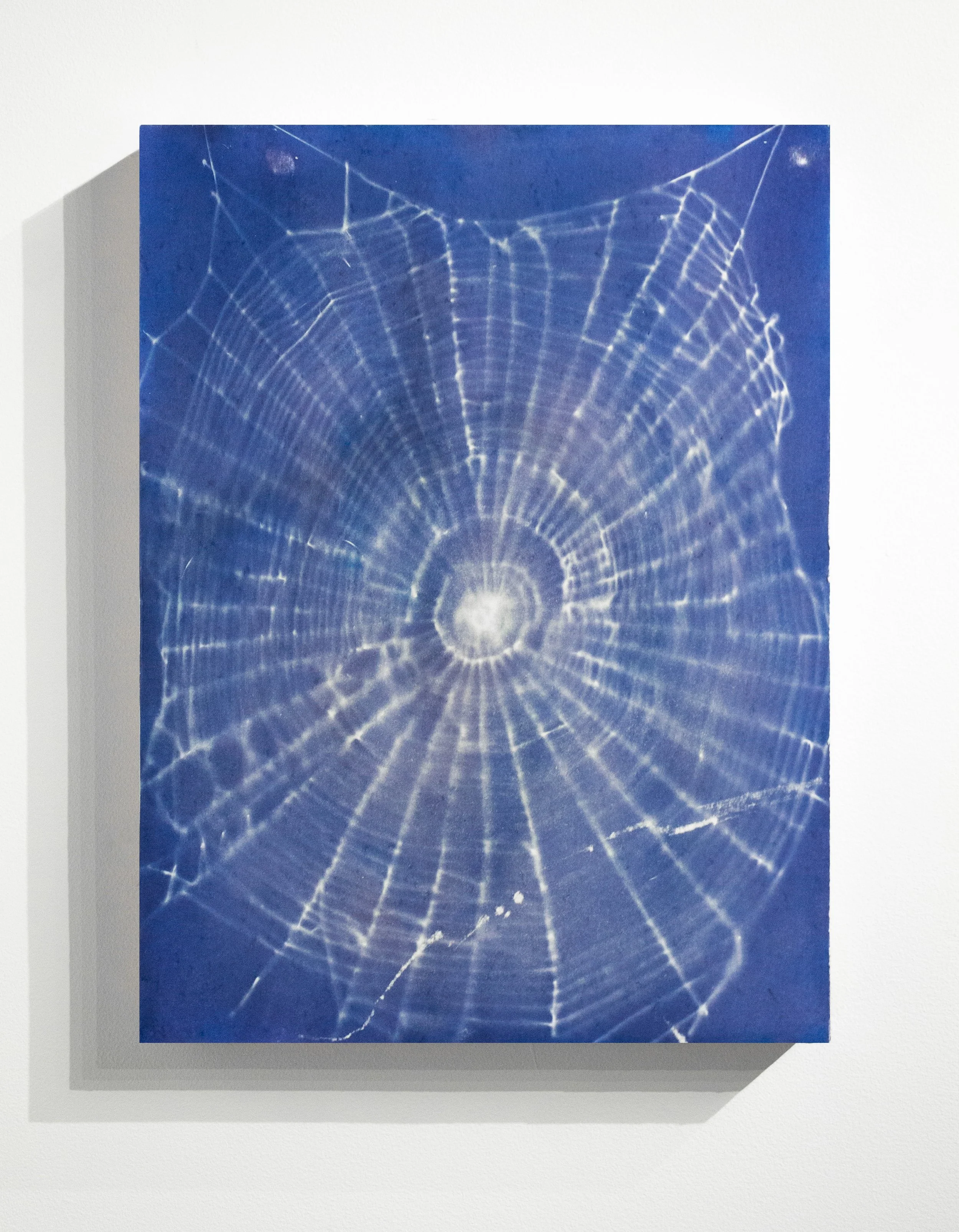 Web Triptych 3 - Memory.jpg