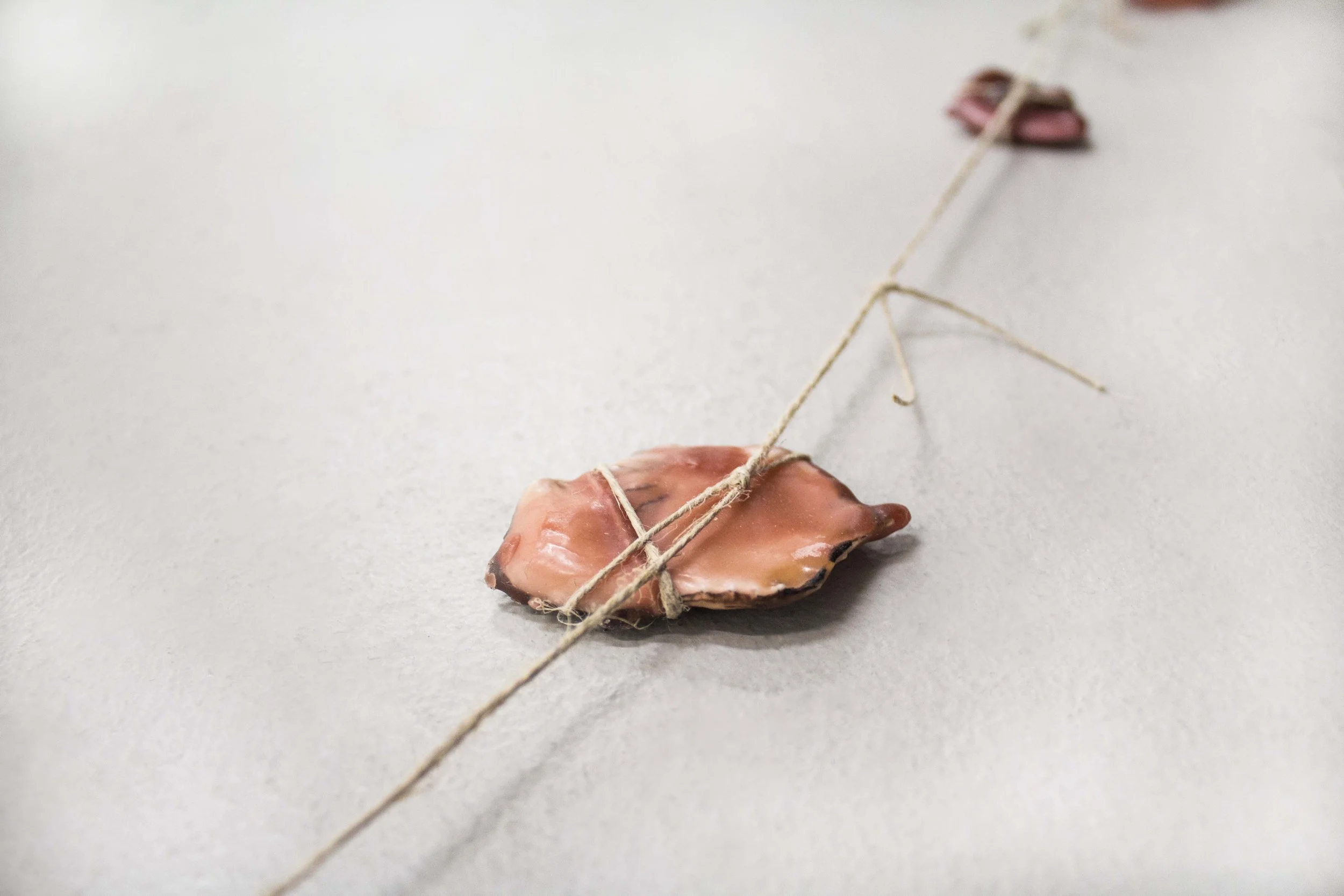 Shell 3 Closeup 2.jpg