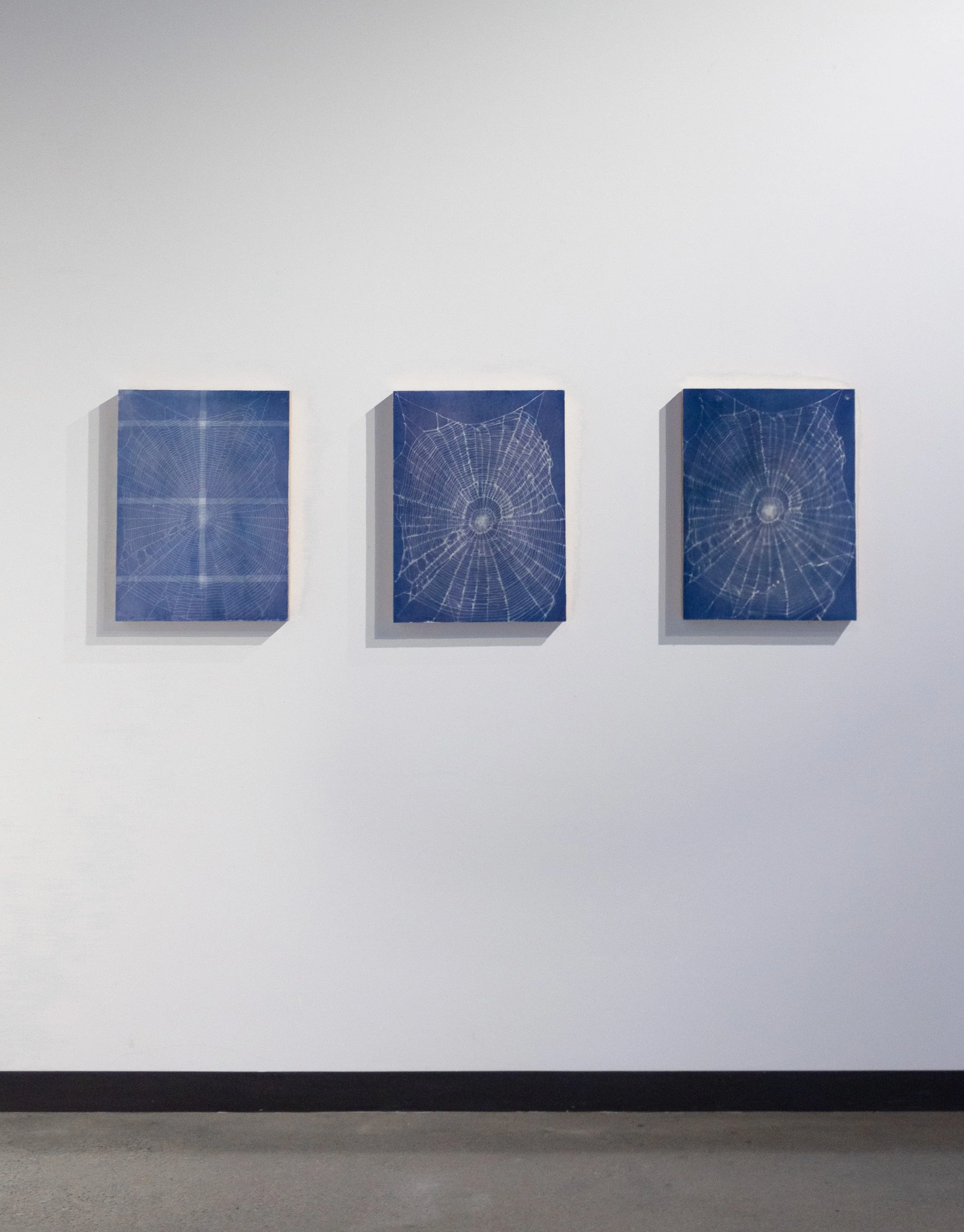 Web Triptych - Full View.jpg