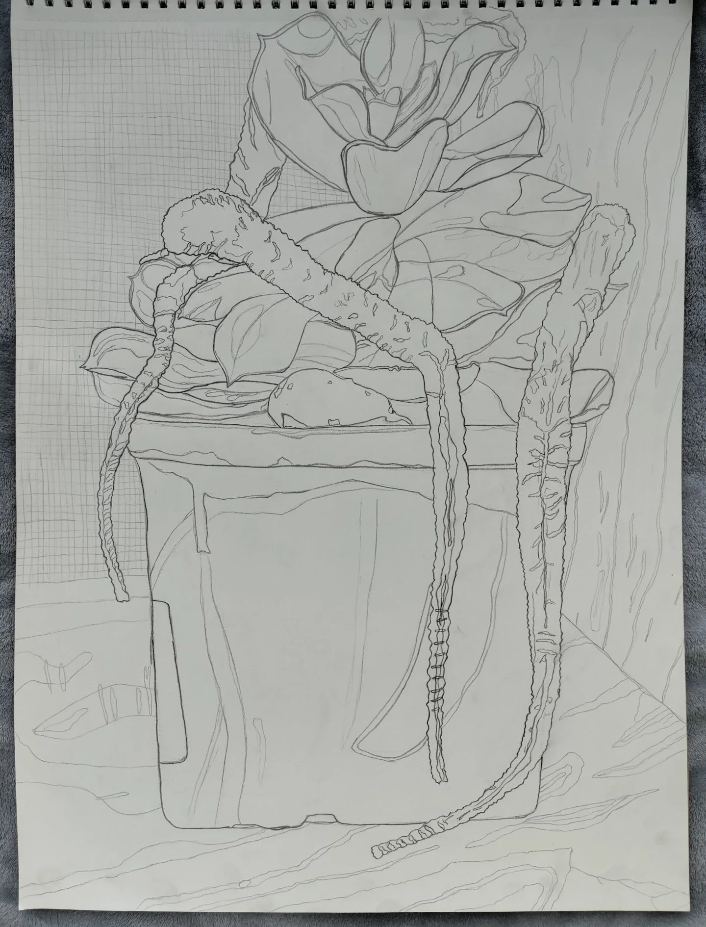 Drawing Studio
Exquisite Pleasures
Graphite on Drawing Paper 18x24"