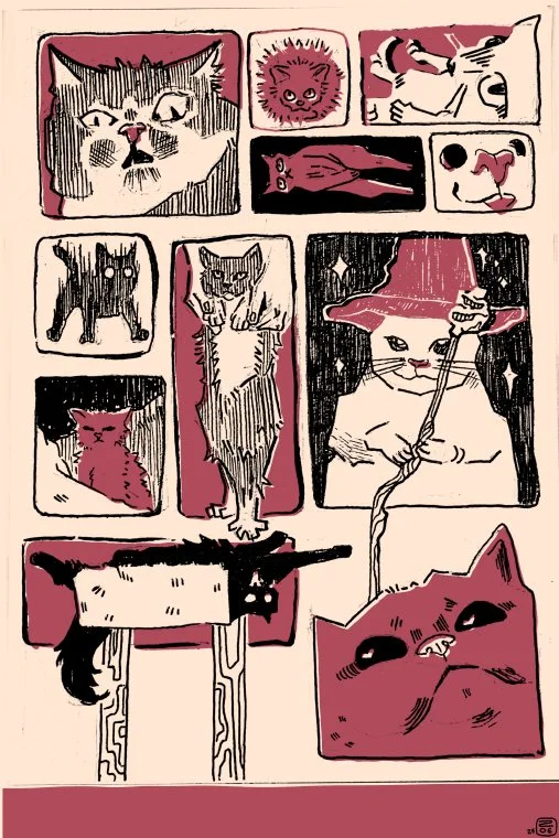 Cat Postcard 2

2025