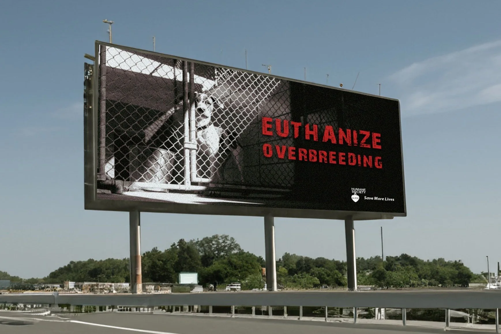 SaveMoreLives_EuthanizeOverB_Mockup.jpg