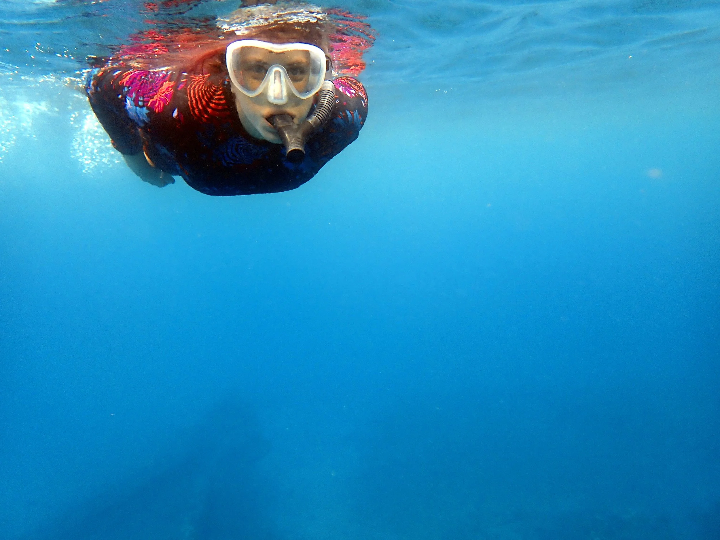 Snorkeling — Aloha Maui Diving Scuba Diving, Sea Scooters, & Beginner