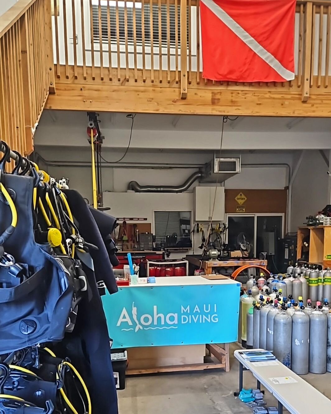 ALOHA! 🌺 NOW OPEN SATURDAYS 10-2. To meet your gear rental needs, Aloha Maui Diving now has extended opening days! Mon to Fri 10-4. Sat 10-2.
Scuba gear rentals, dive tours, and more! 
Located in Lahaina at 130 Kupuohi St, Ste D4.

#scubadiving #alo