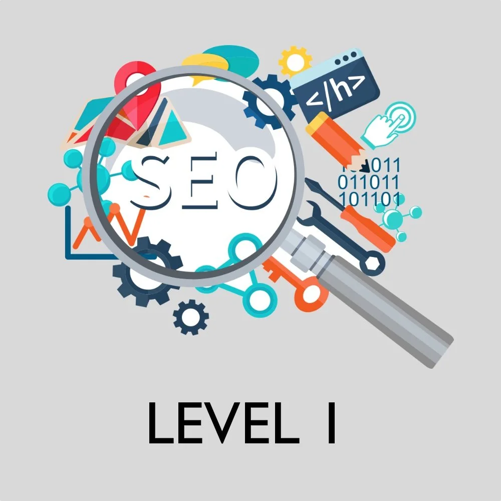 Search Engine Optimization (LEVEL 1)