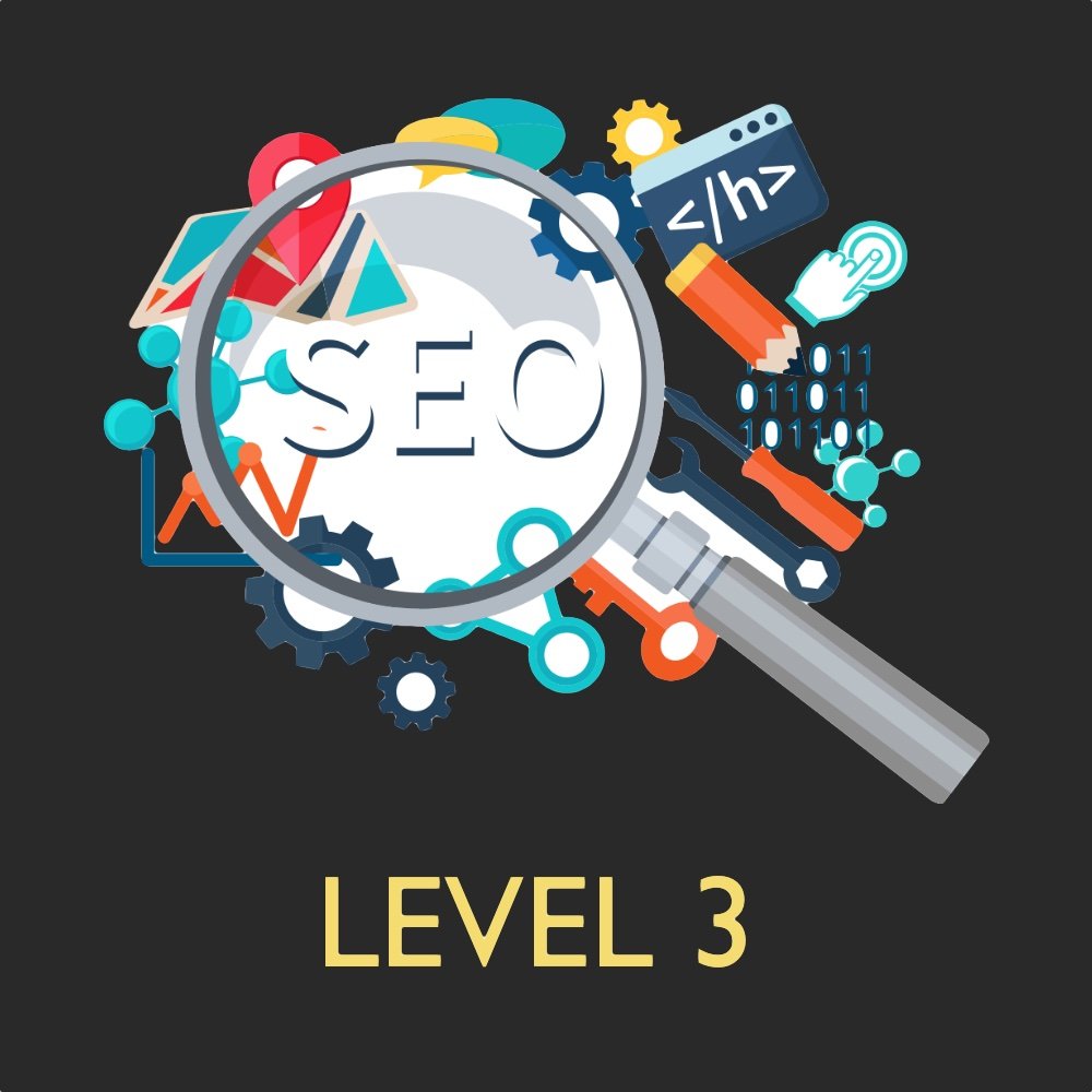 Search Engine Optimization (LEVEL 3)