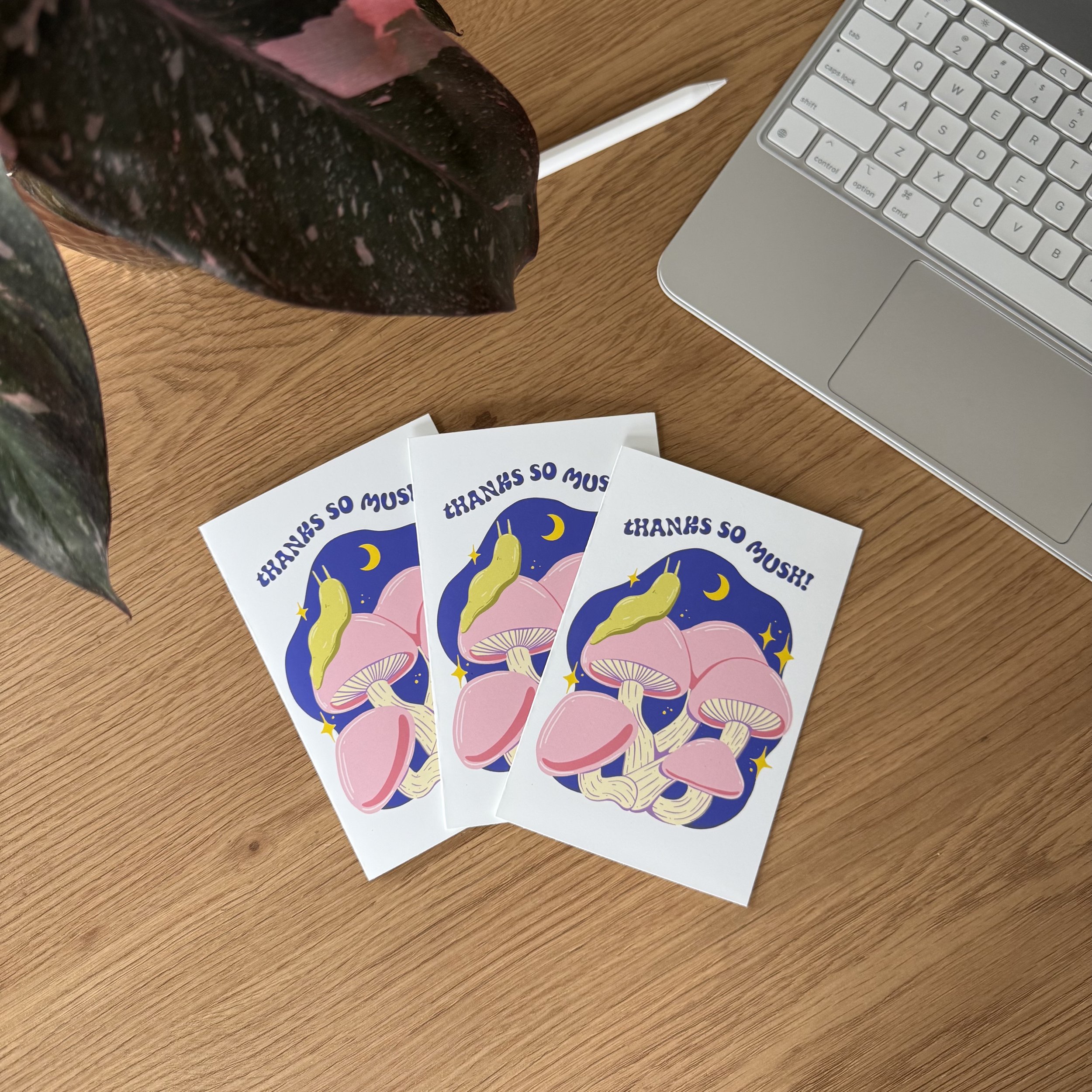 Thanks So Mush Greeting Card