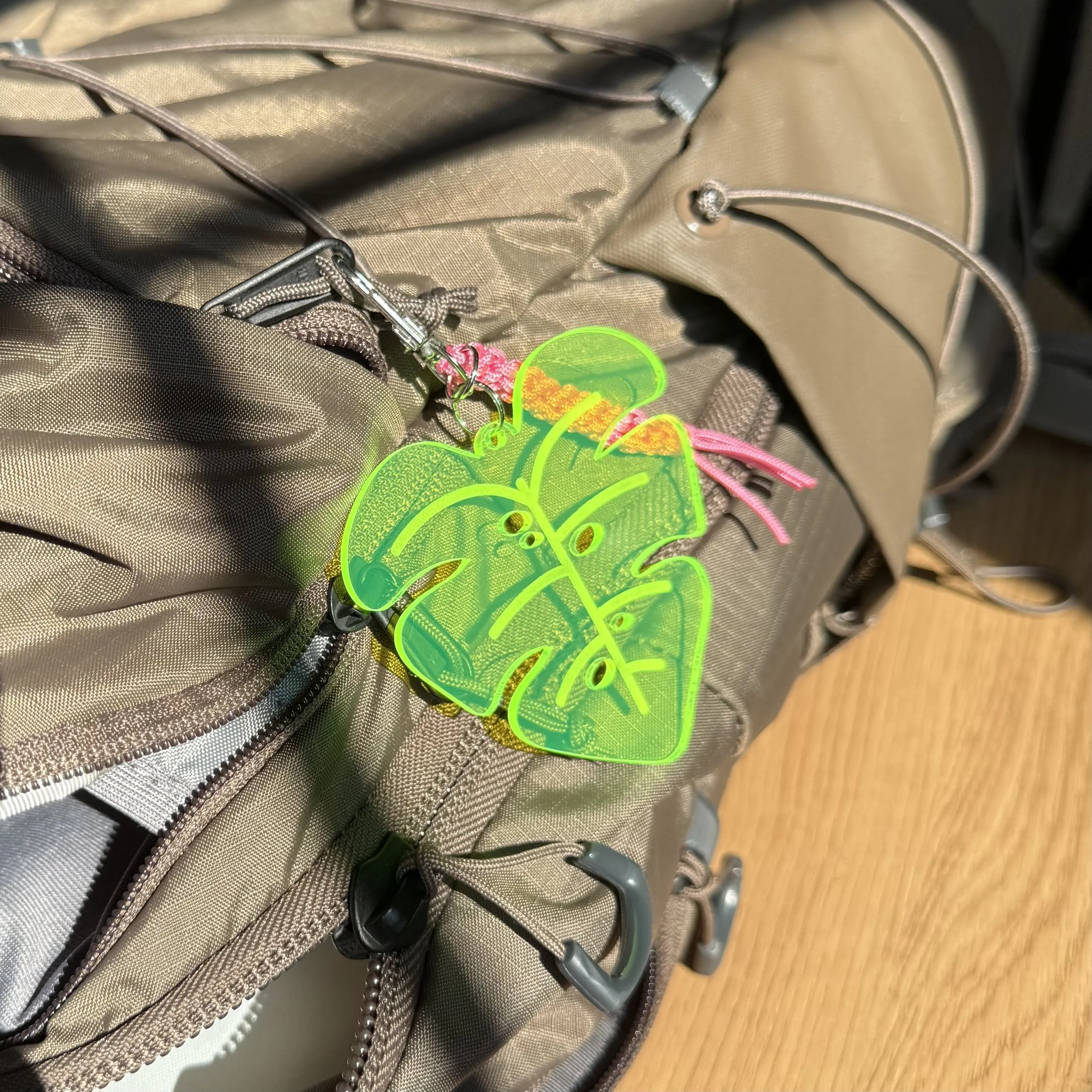 IMG_4950.jpeg