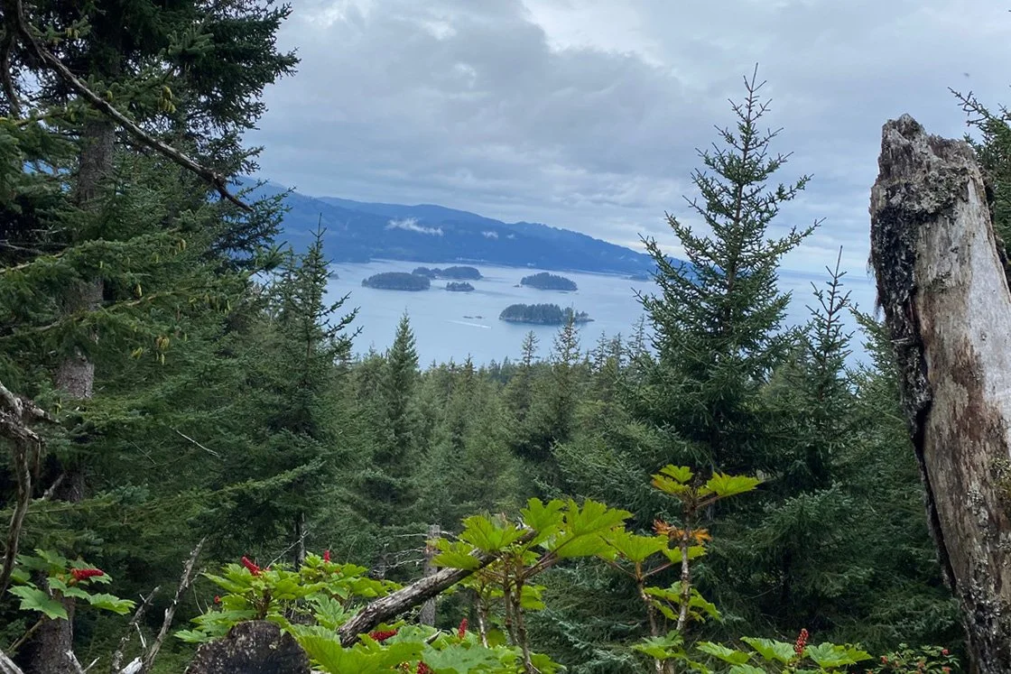 Grace Ridge Homer Alaska