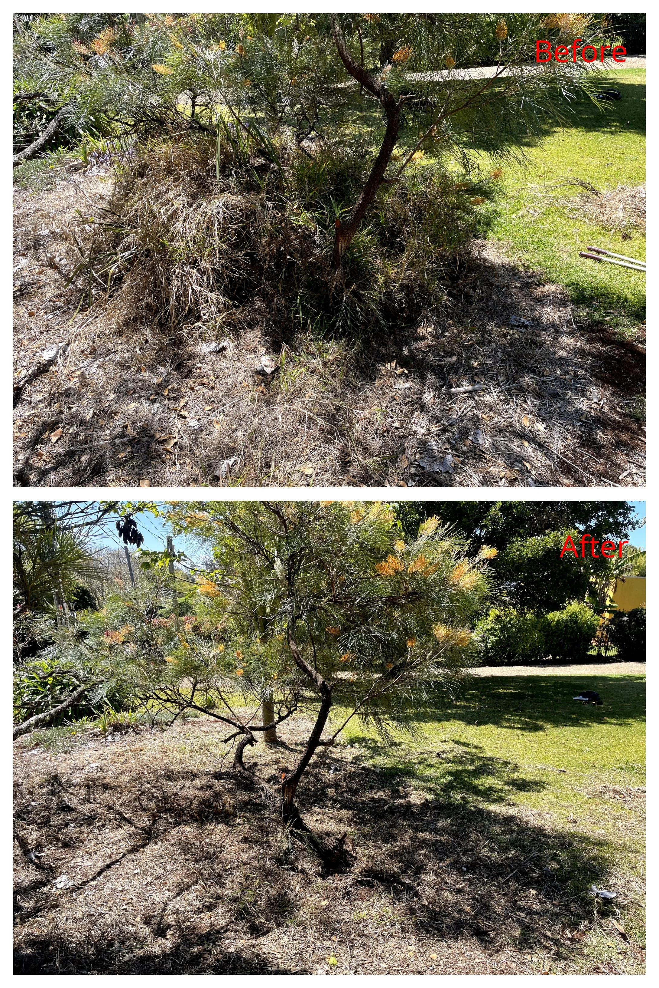 before an after 4.jpg