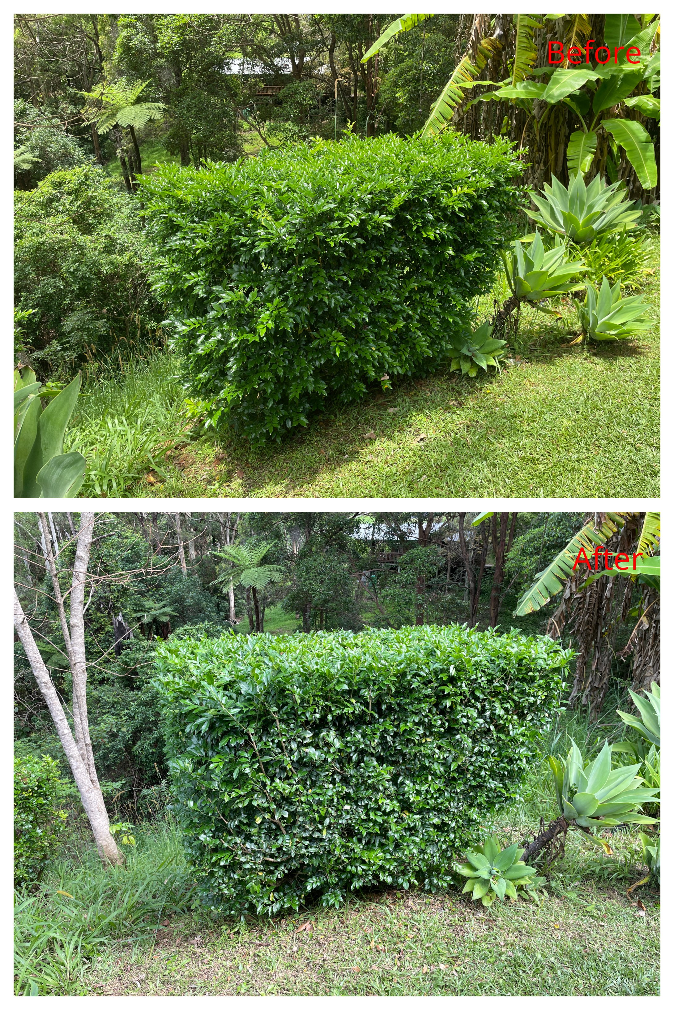 before an after 11.jpg
