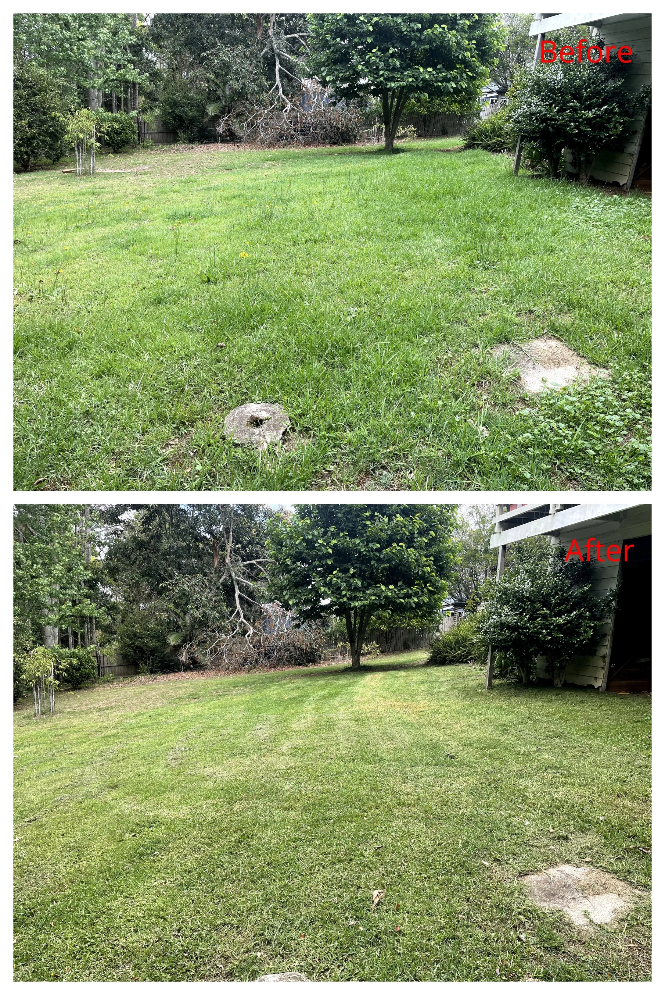 before an after 2.jpg