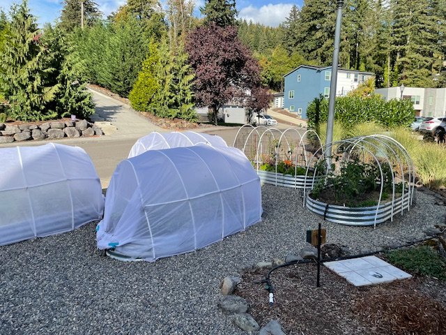 5 raised beds