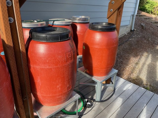 Harvested rain water barrels and transfer pump